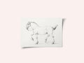 Stepping Horse (1775–1833)