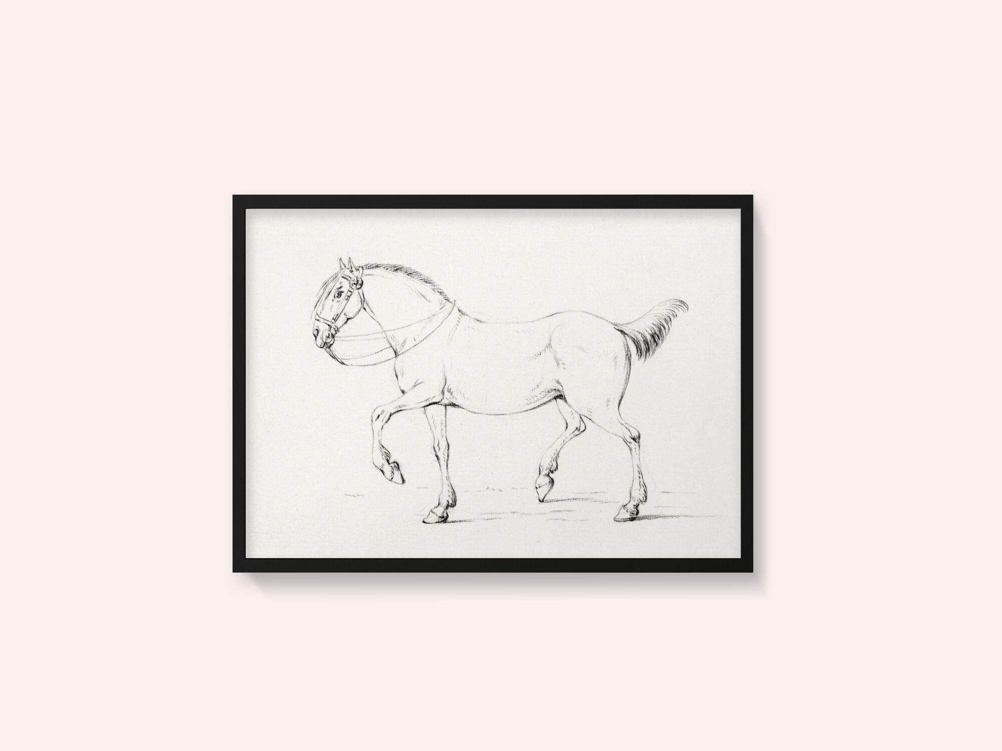 Stepping Horse (1775–1833)