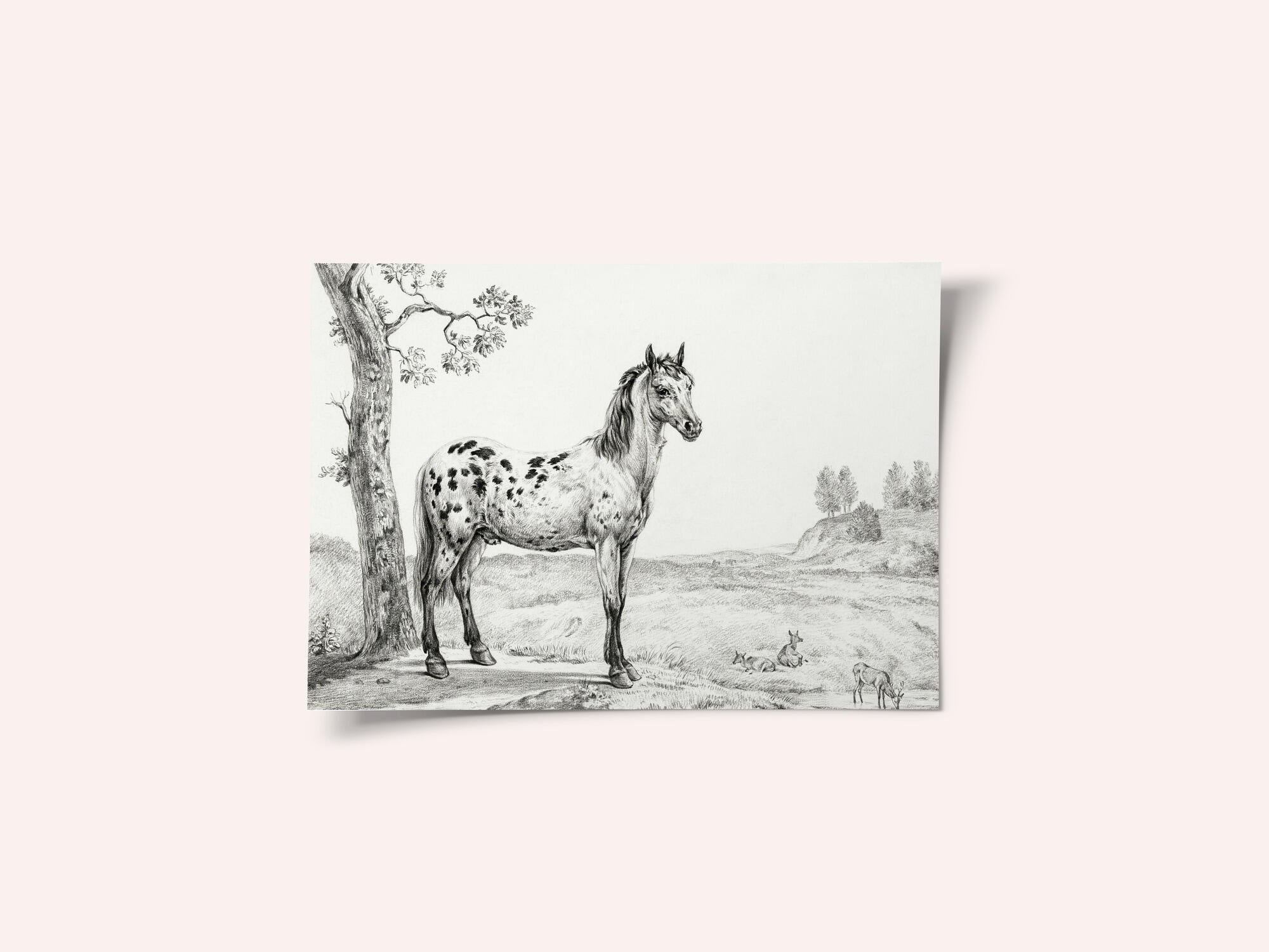 Standing Mottled Horse