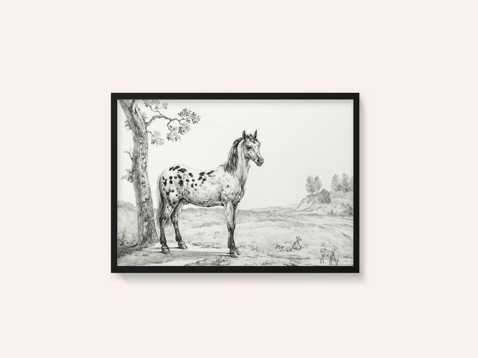 Standing Mottled Horse