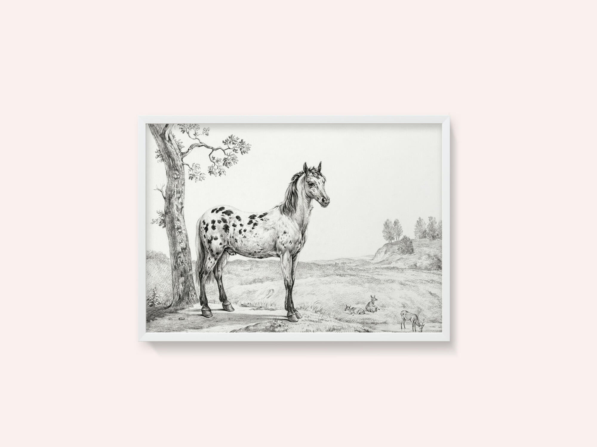 Standing Mottled Horse