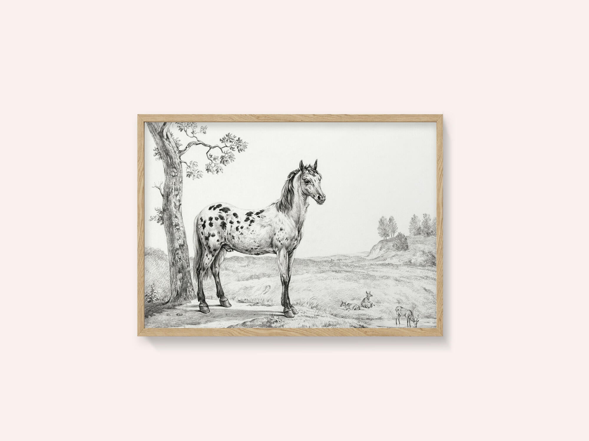 Standing Mottled Horse