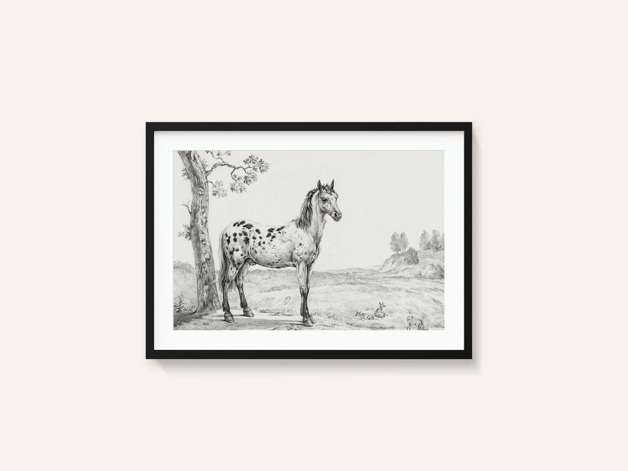 Standing Mottled Horse