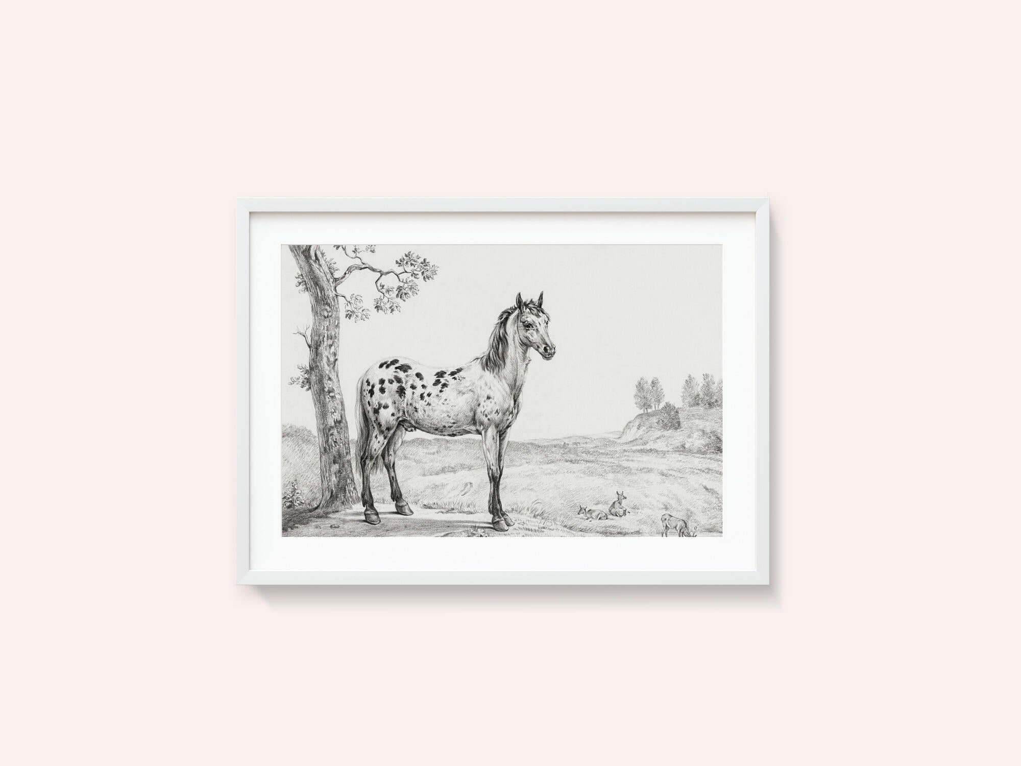 Standing Mottled Horse