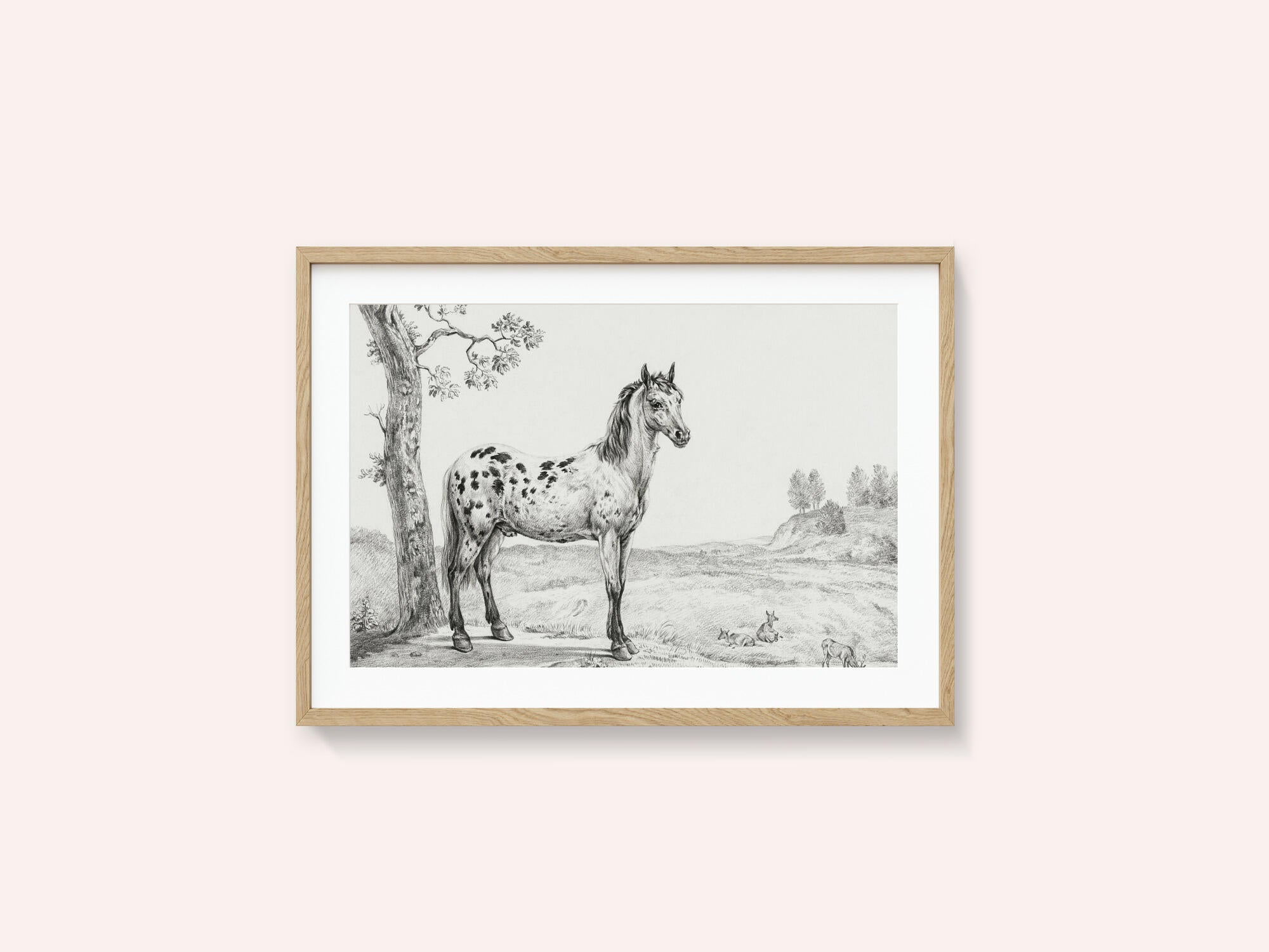 Standing Mottled Horse