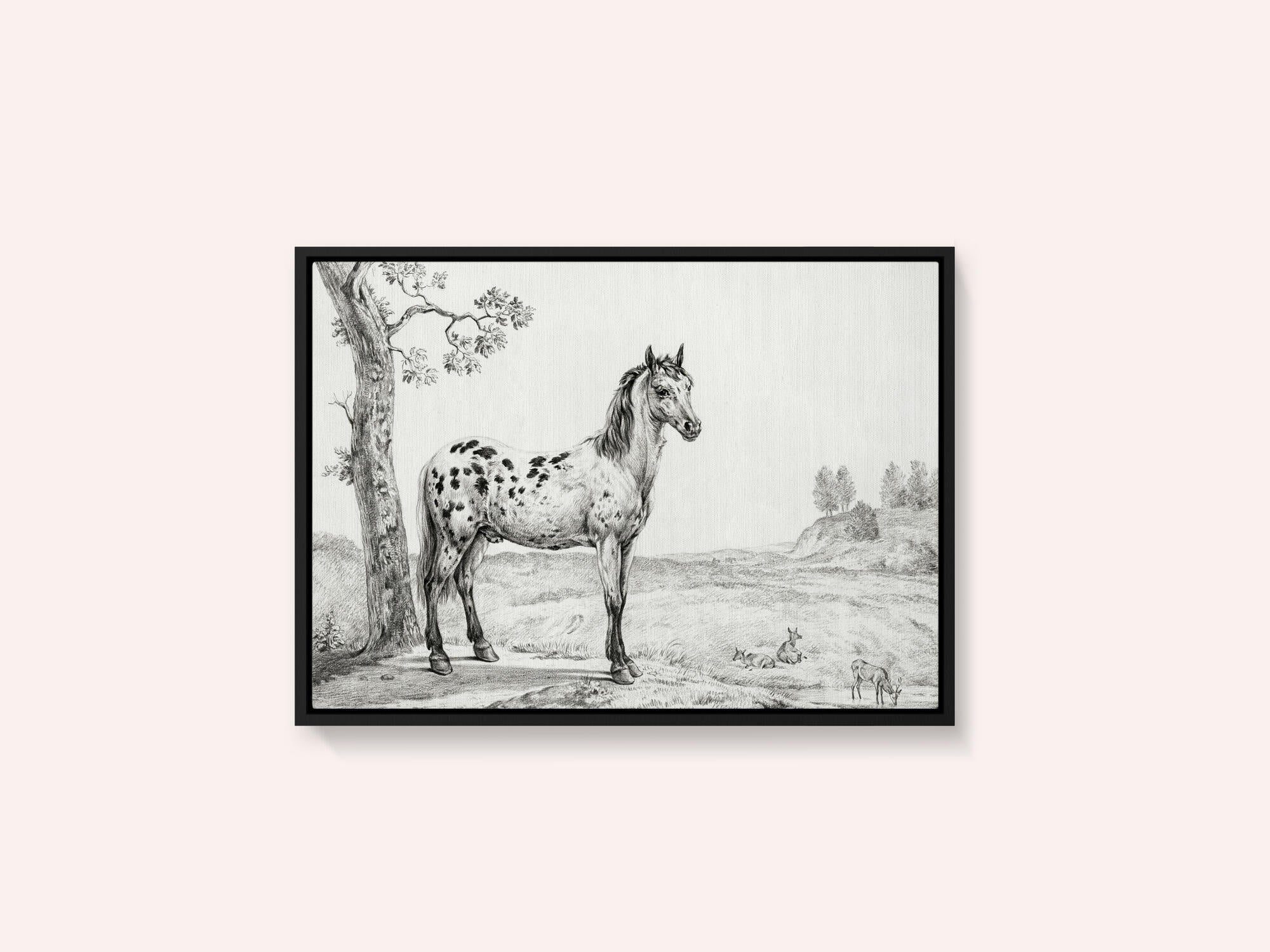 Standing Mottled Horse