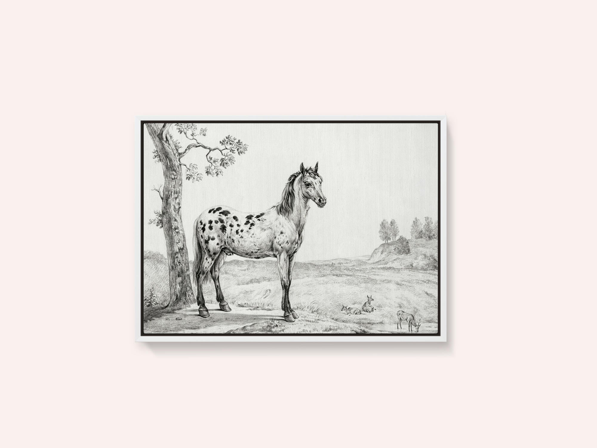 Standing Mottled Horse