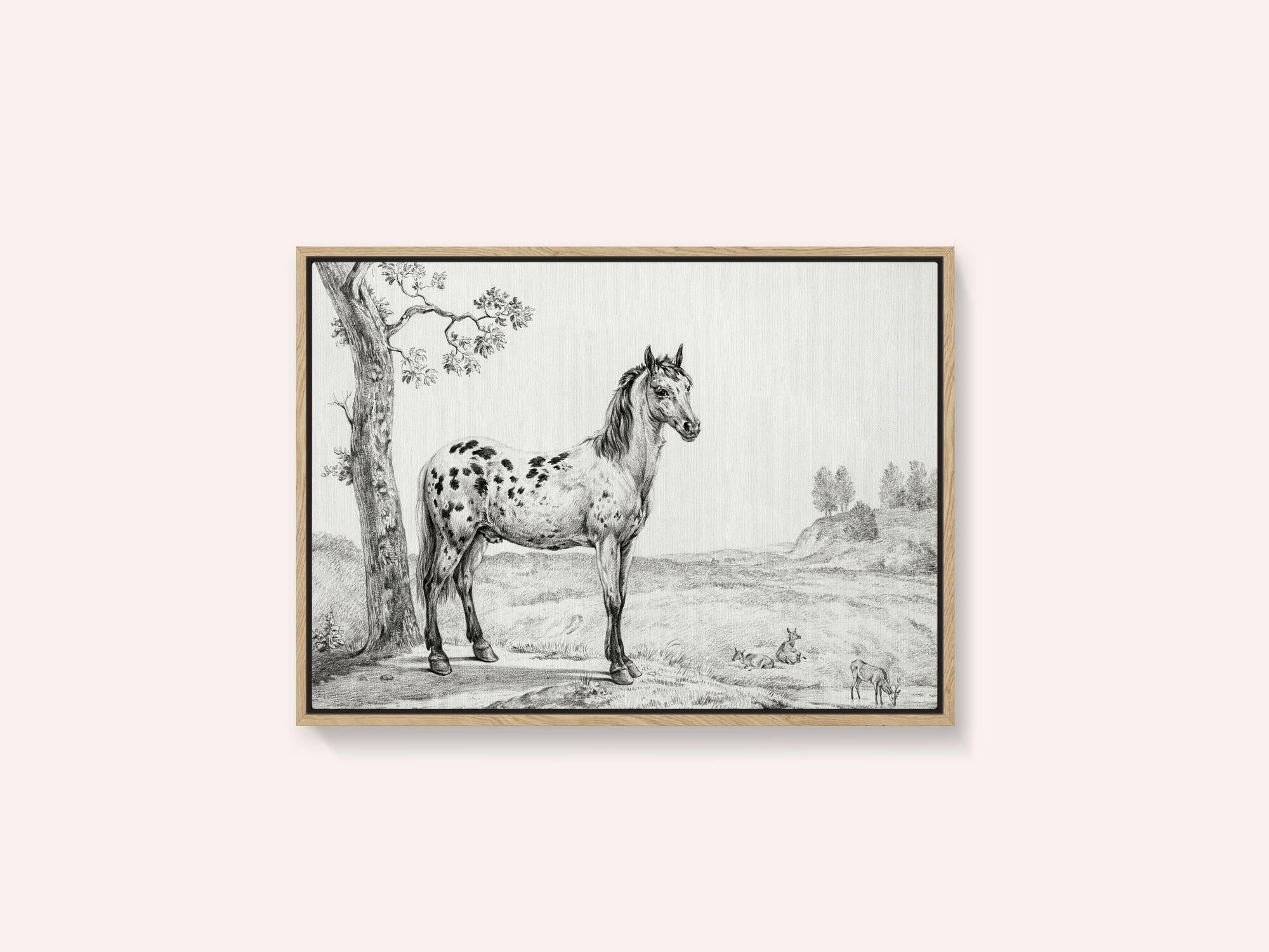 Standing Mottled Horse