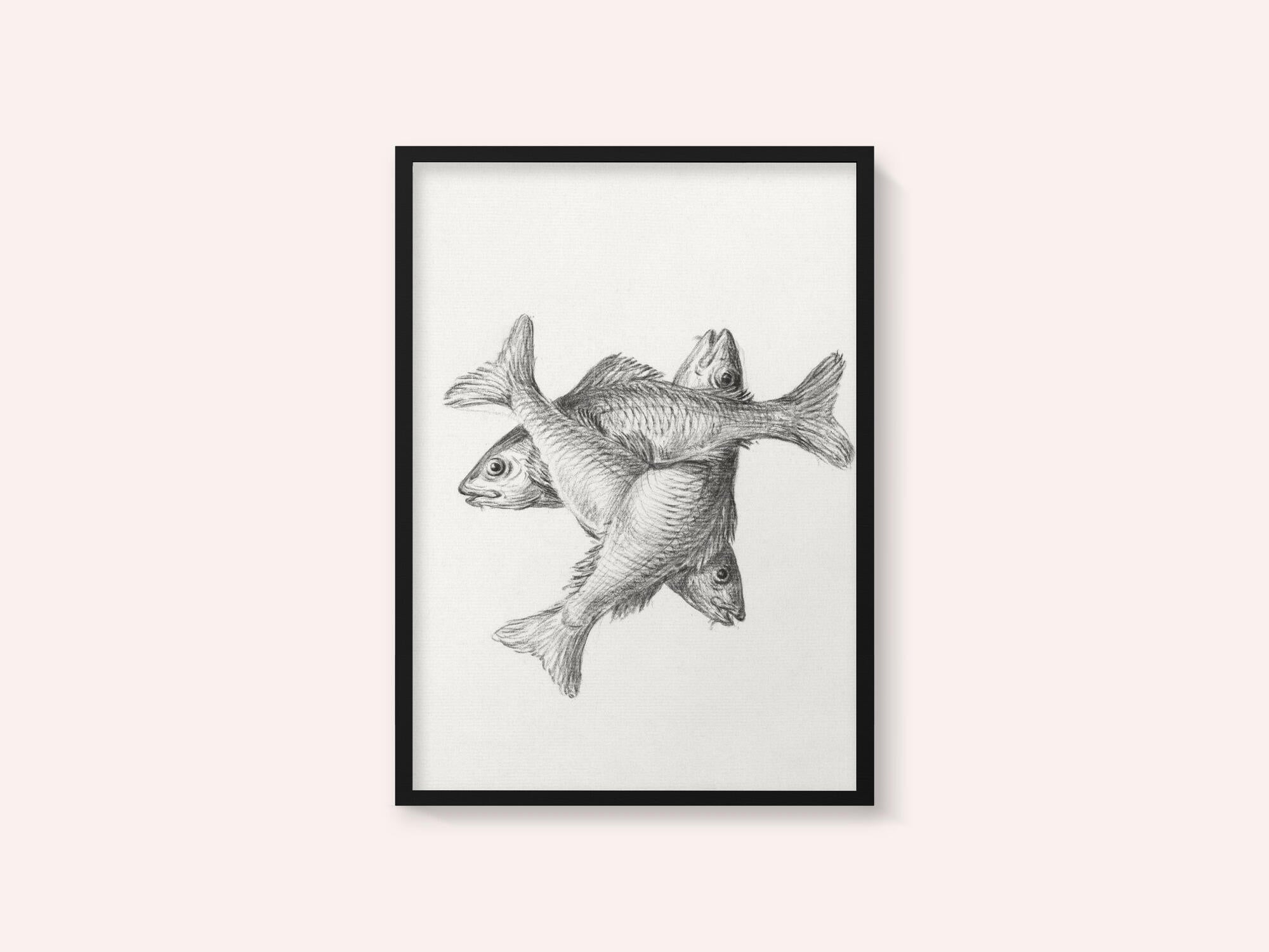 Three Fishes (1775–1833)