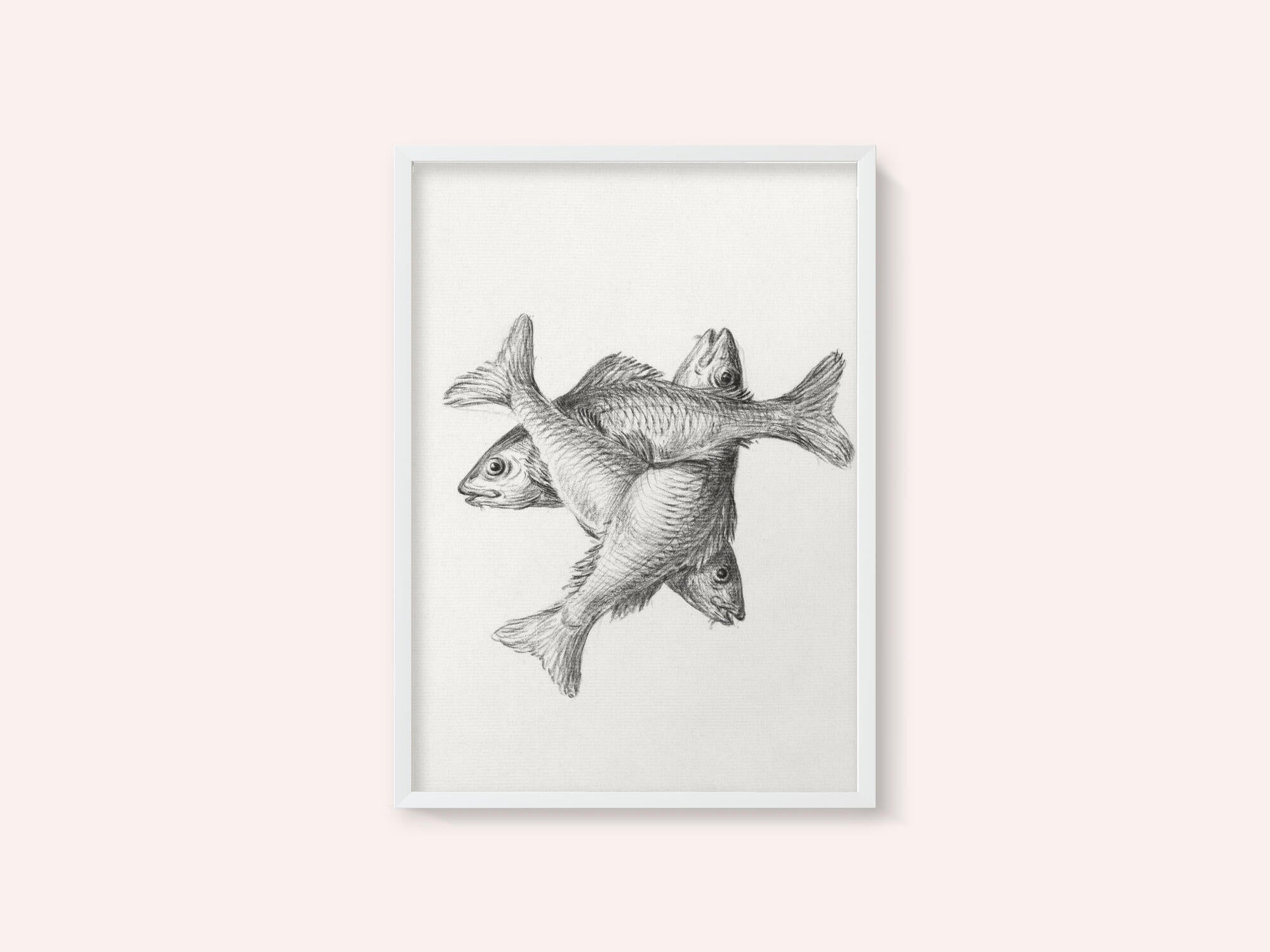 Three Fishes (1775–1833)