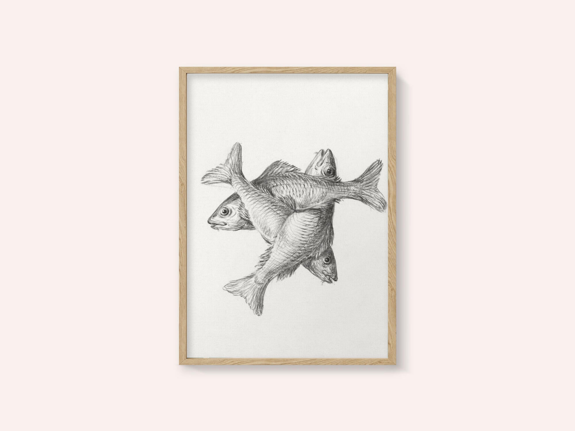Three Fishes (1775–1833)
