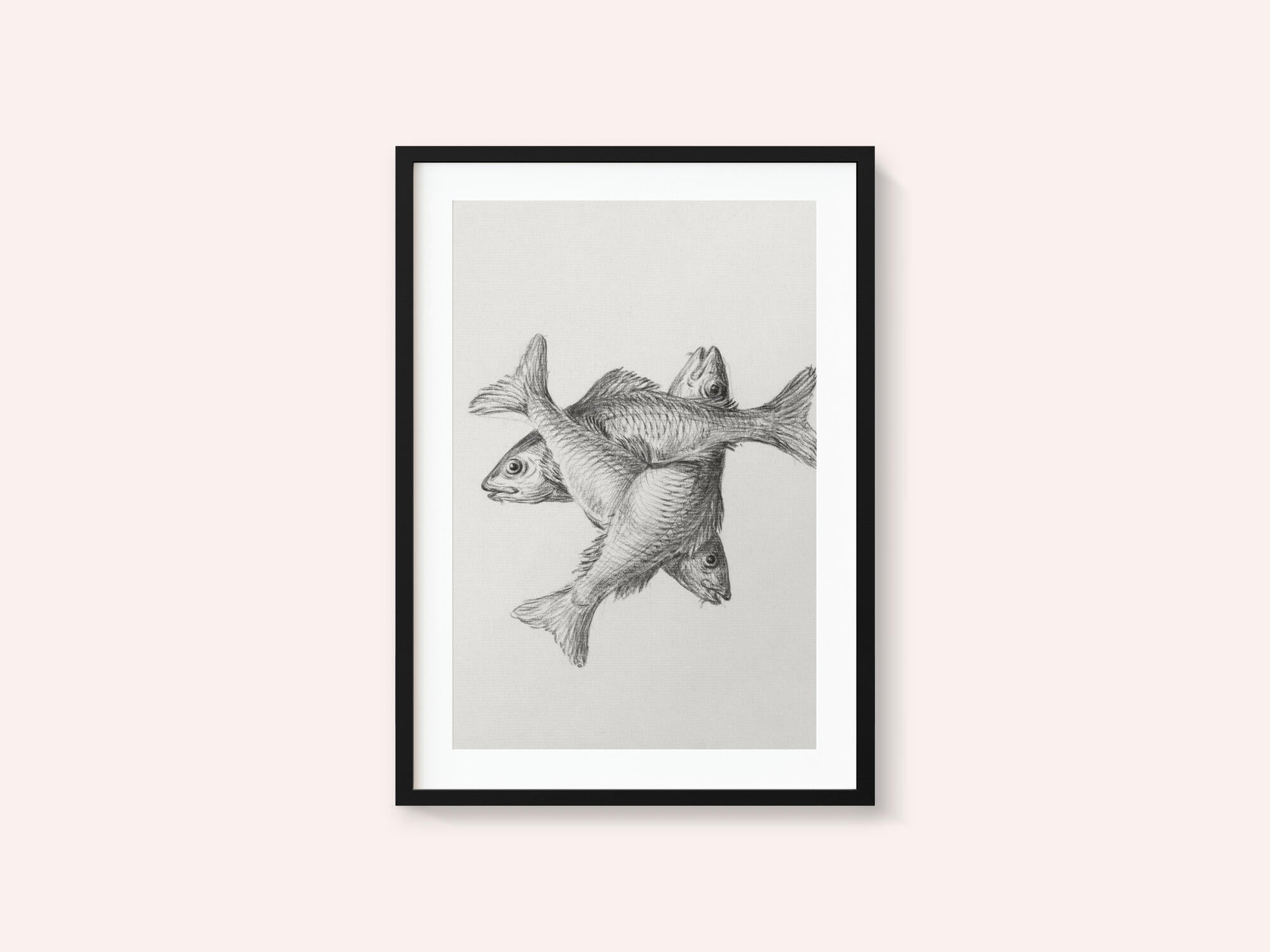 Three Fishes (1775–1833)