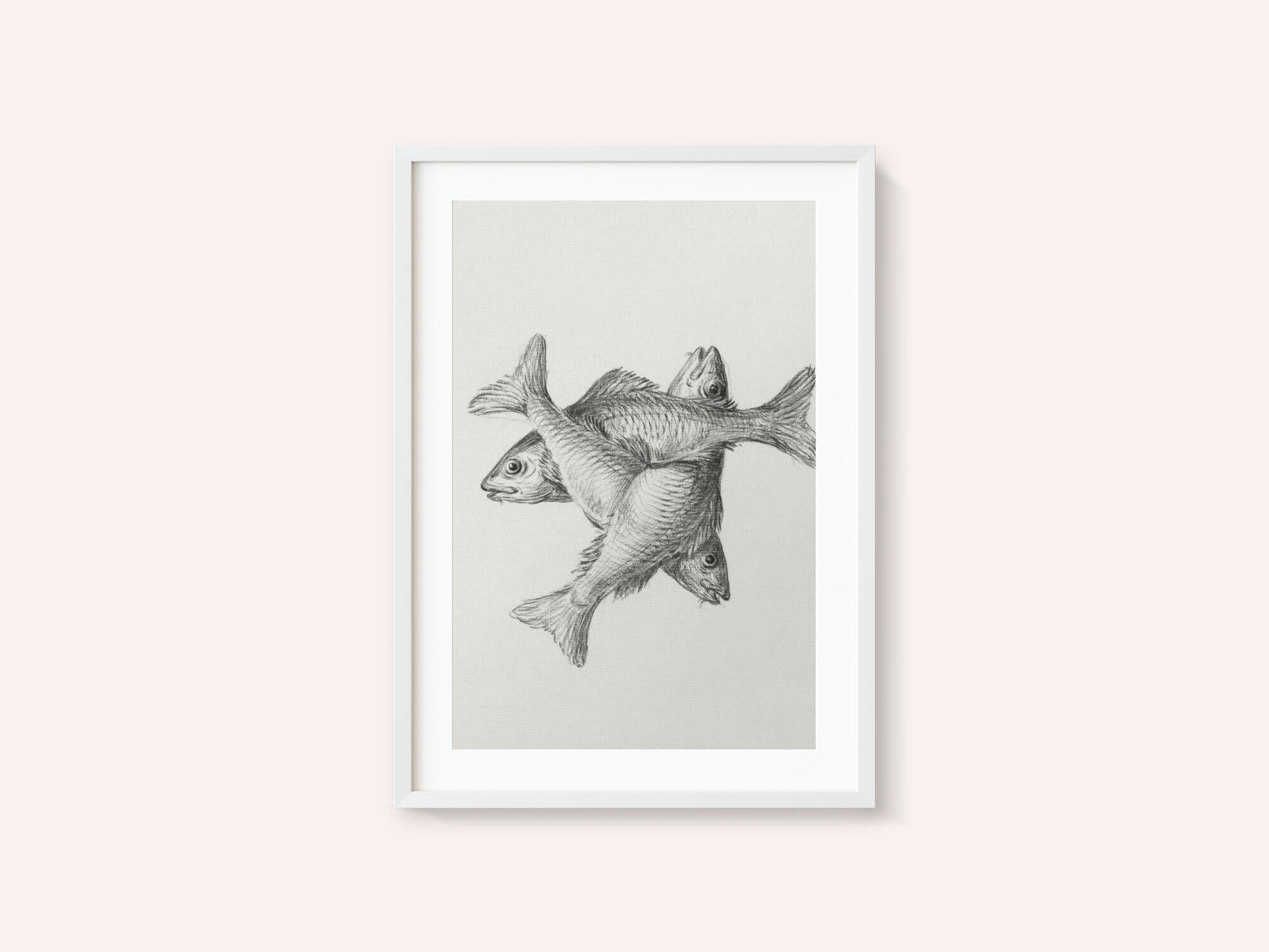 Three Fishes (1775–1833)
