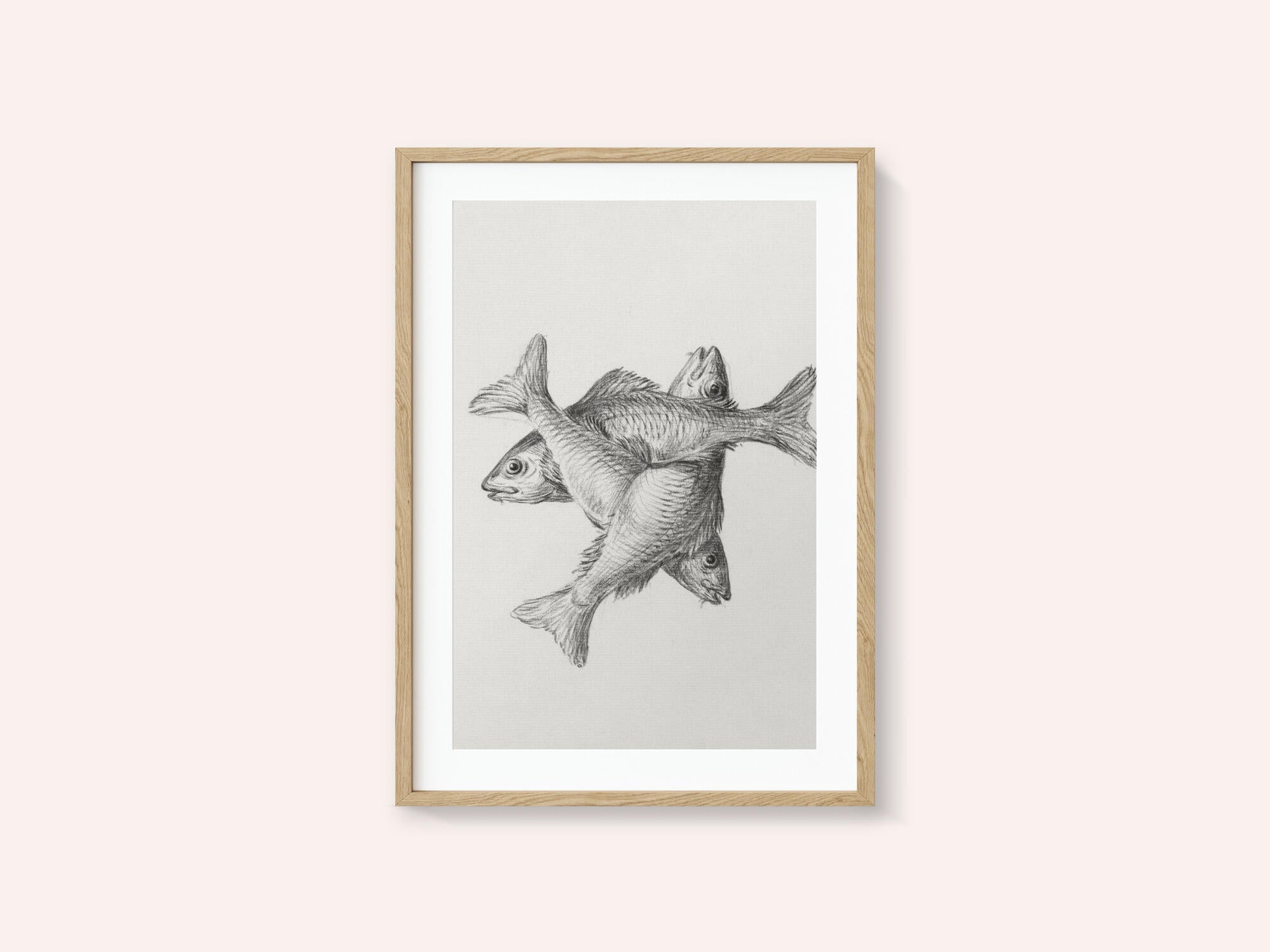 Three Fishes (1775–1833)