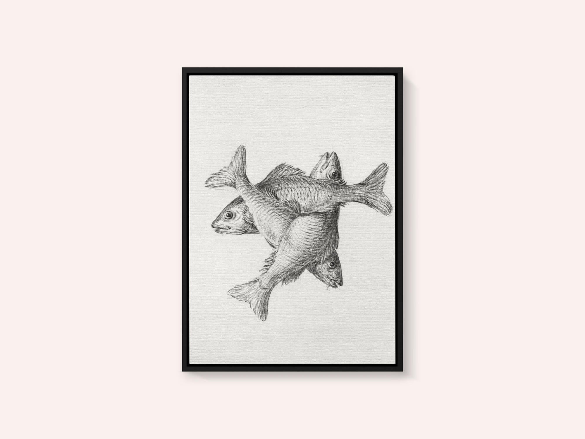 Three Fishes (1775–1833)