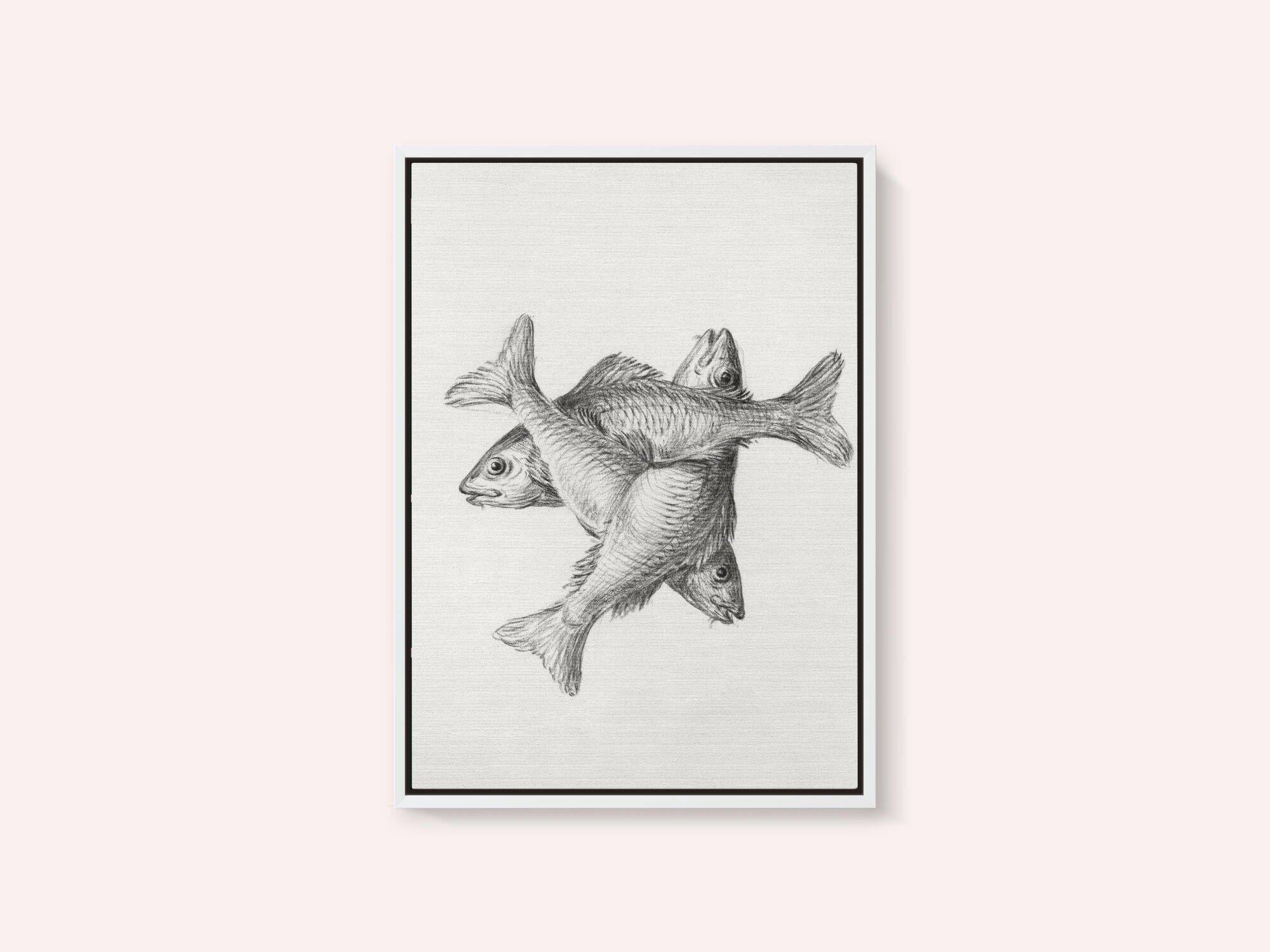 Three Fishes (1775–1833)