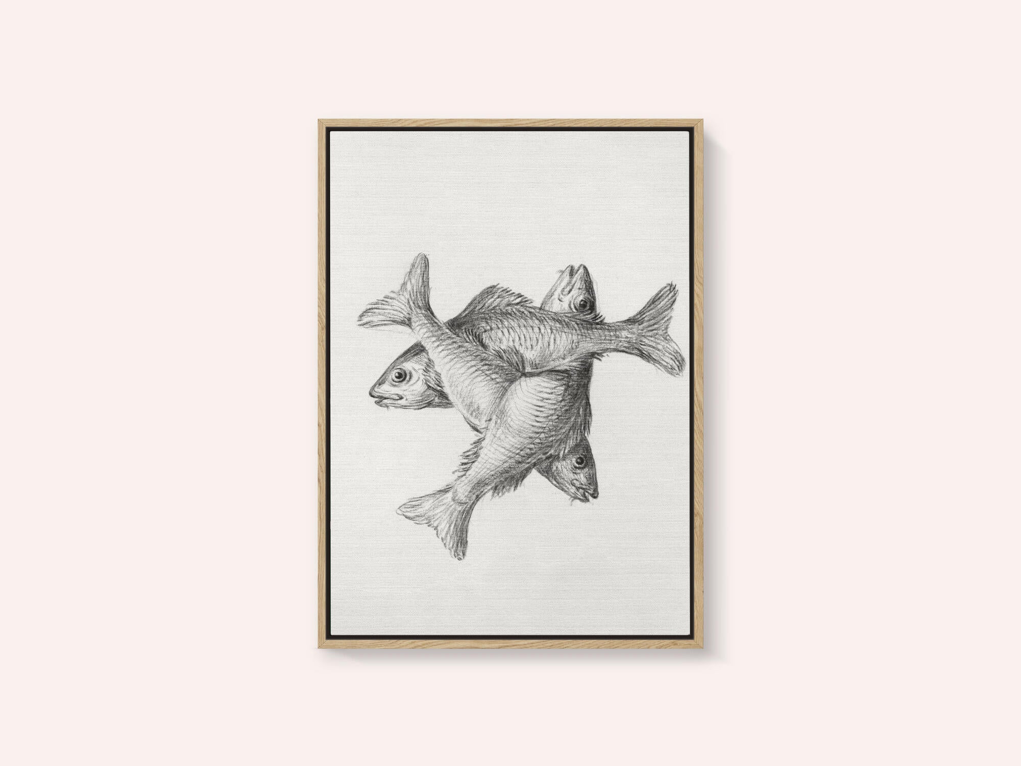 Three Fishes (1775–1833)