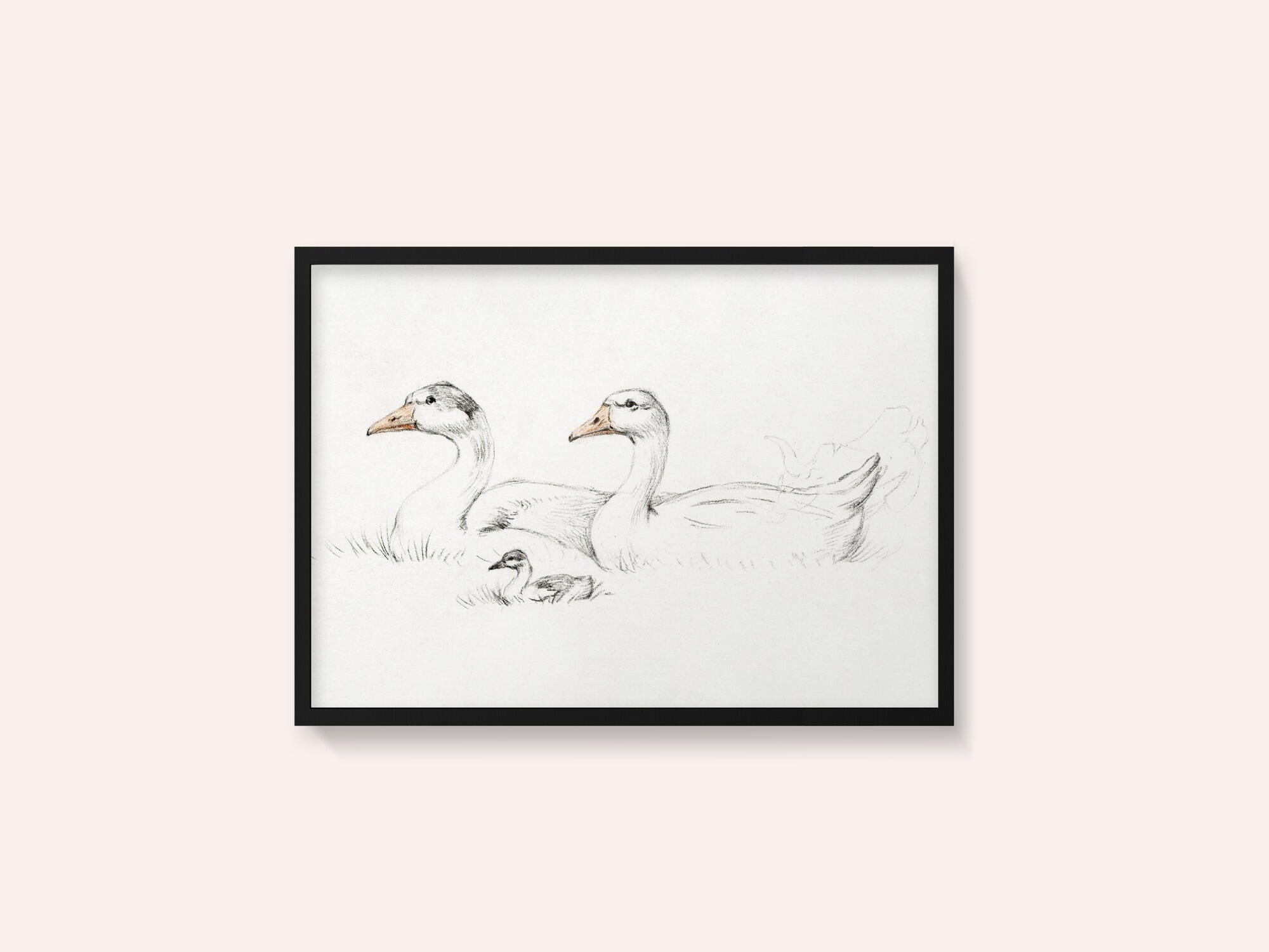 Two Geese With a Young (1775–1833)