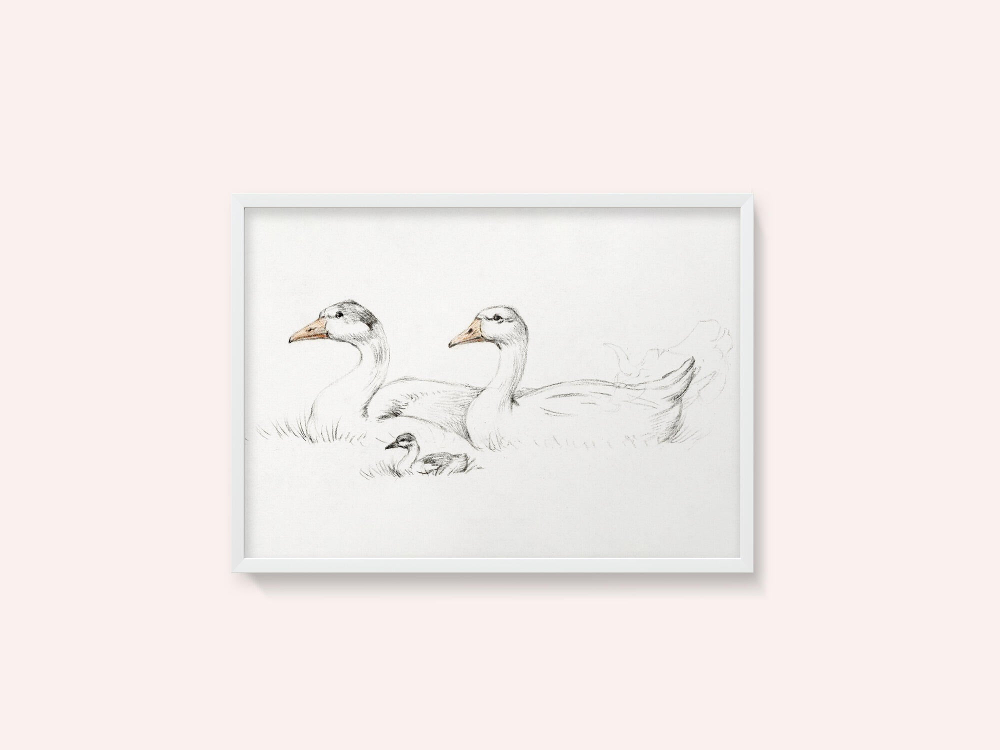 Two Geese With a Young (1775–1833)
