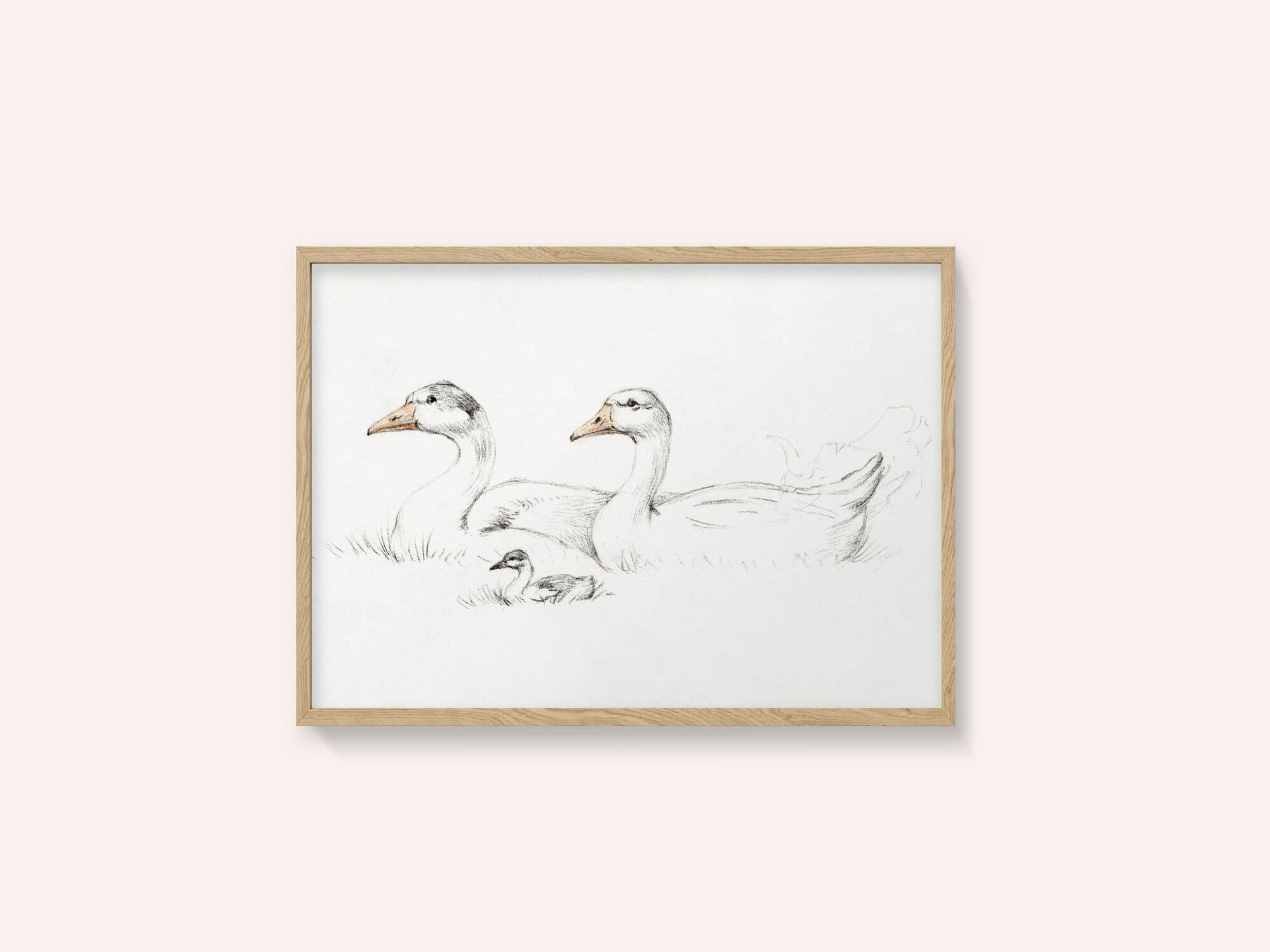 Two Geese With a Young (1775–1833)