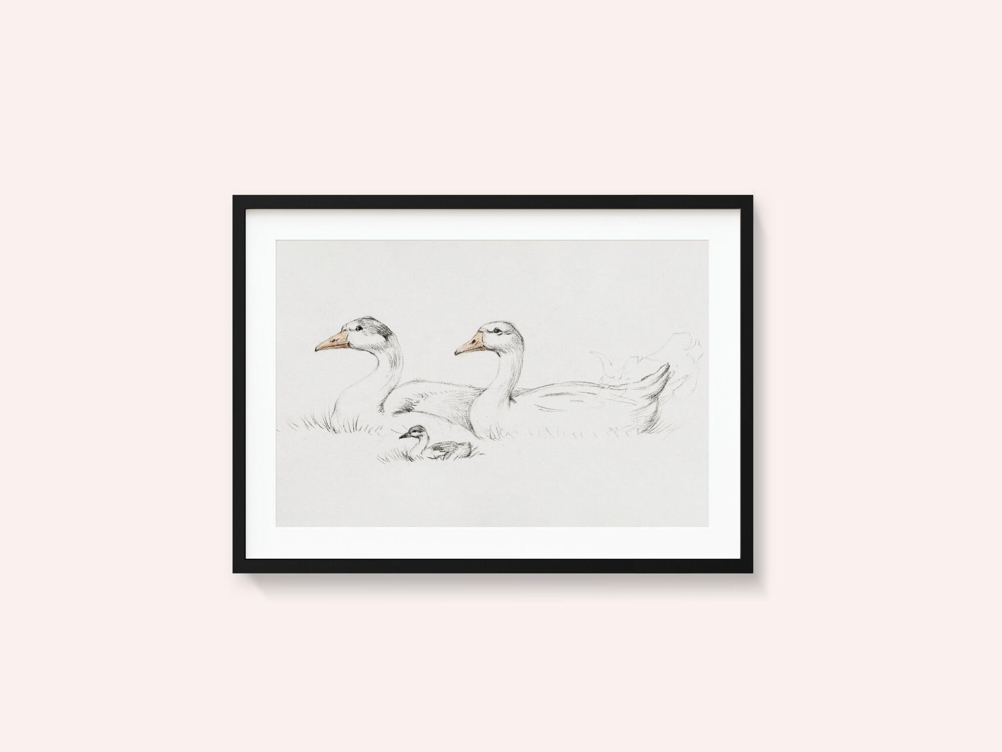 Two Geese With a Young (1775–1833)