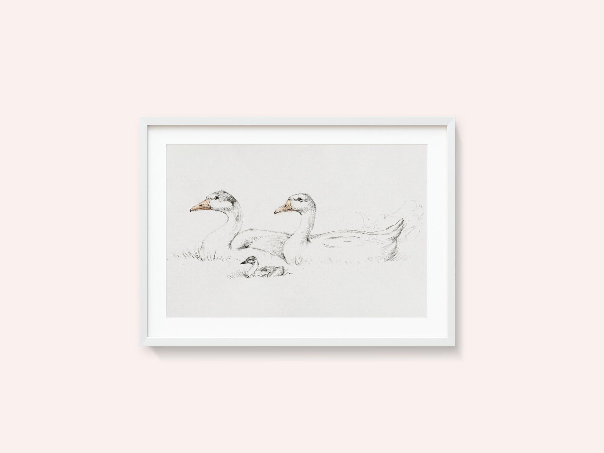 Two Geese With a Young (1775–1833)