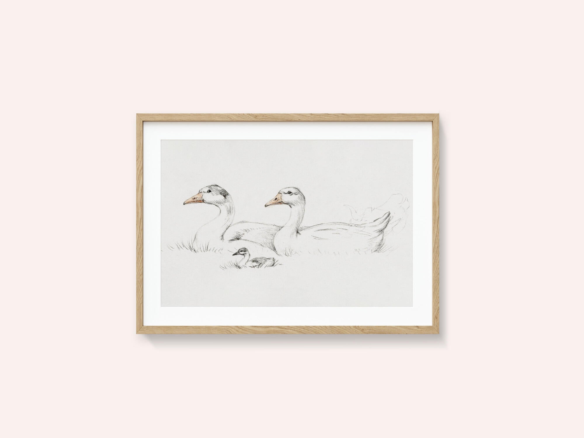Two Geese With a Young (1775–1833)