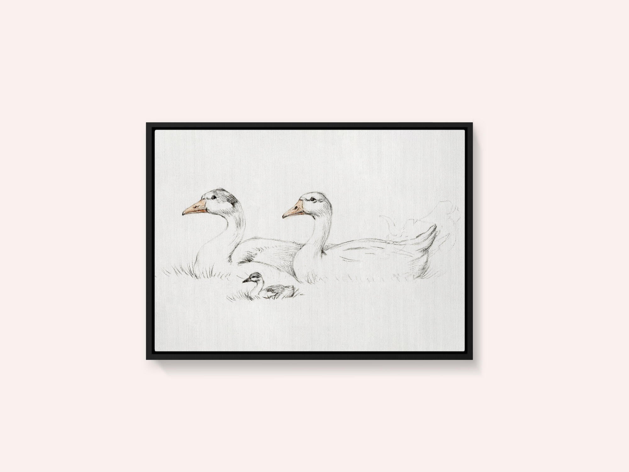 Two Geese With a Young (1775–1833)