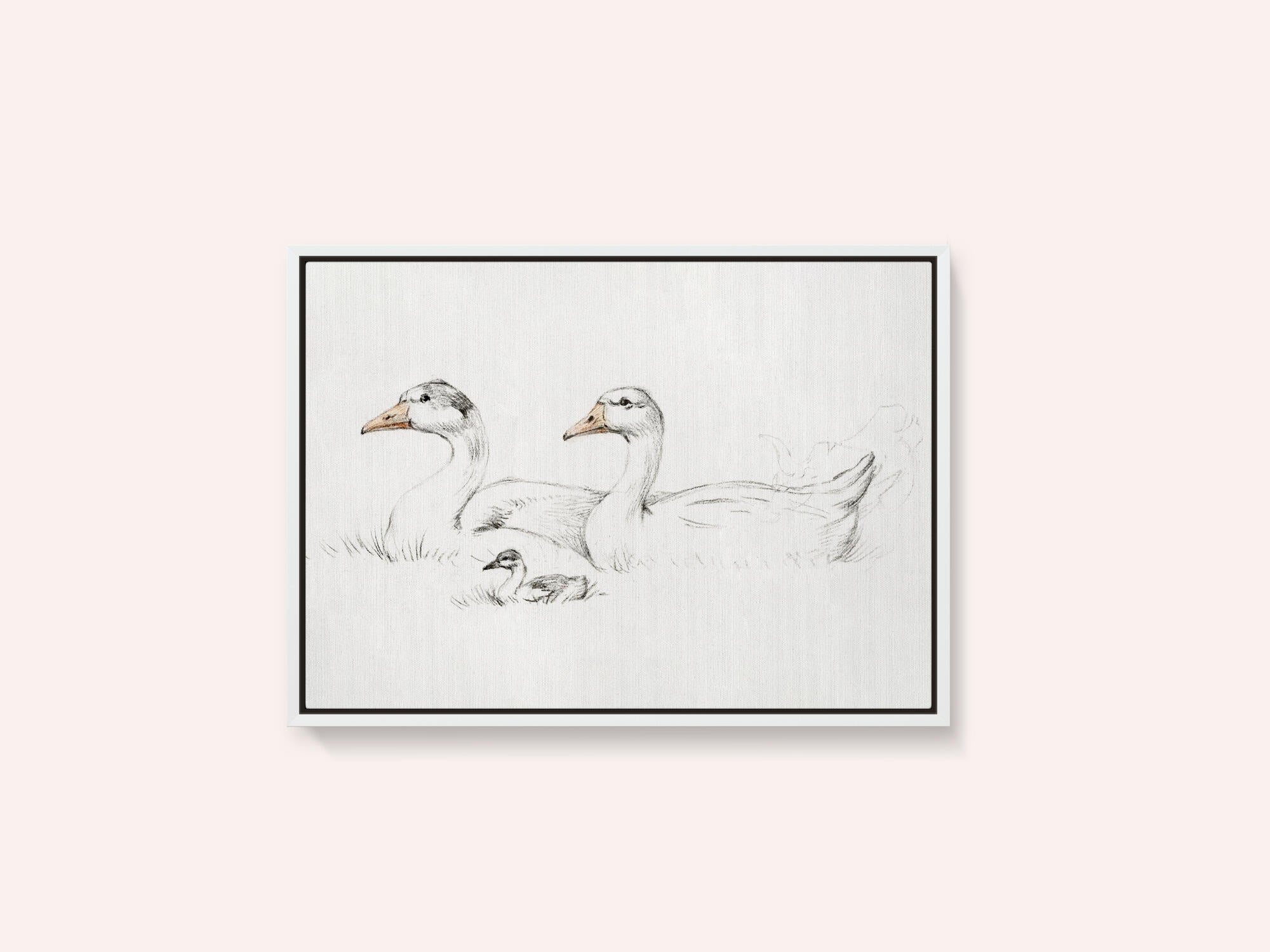 Two Geese With a Young (1775–1833)