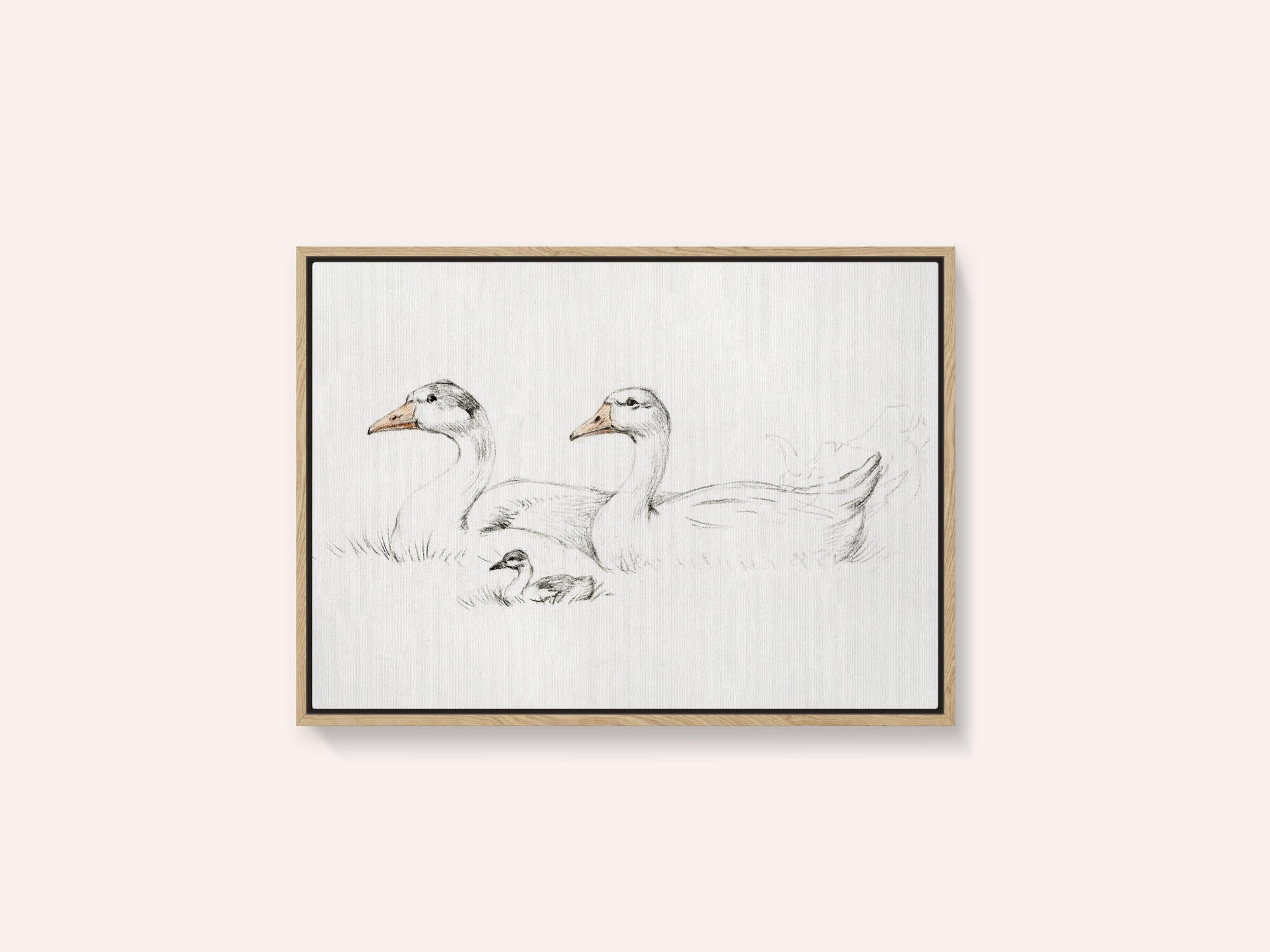 Two Geese With a Young (1775–1833)