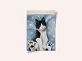 Cute Tuxedo Cat