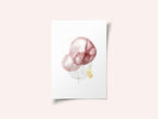 Blush Gold Abstract Flow