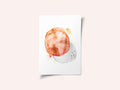 Soft Abstract Shapes