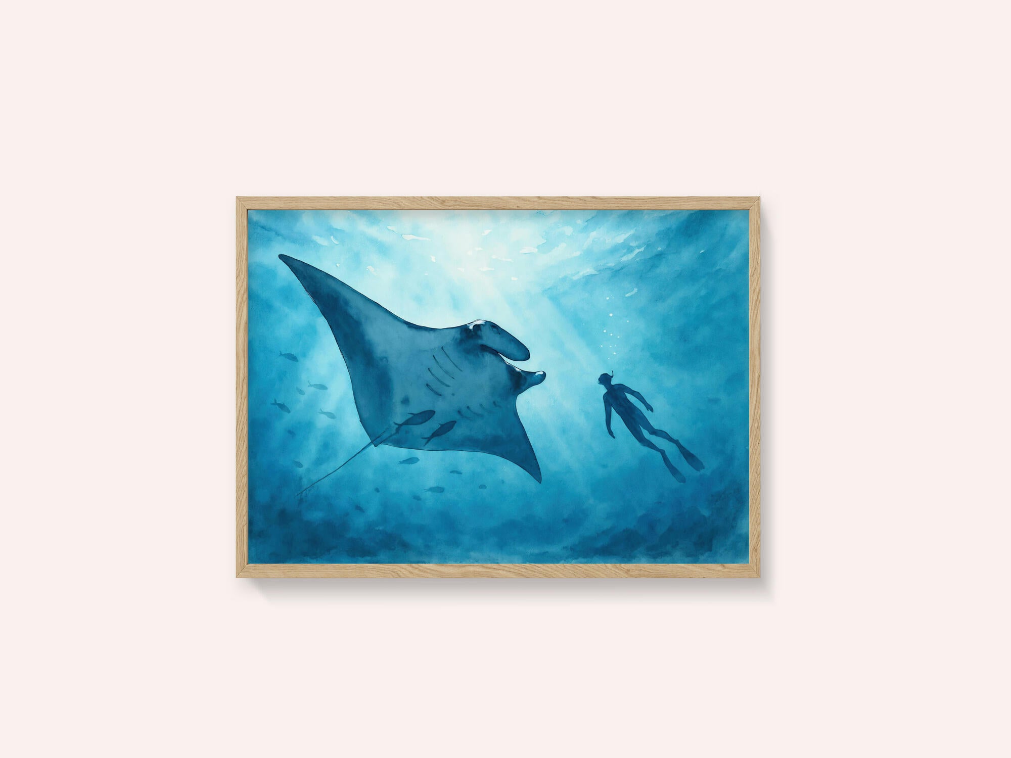 Manta Ray Encounter