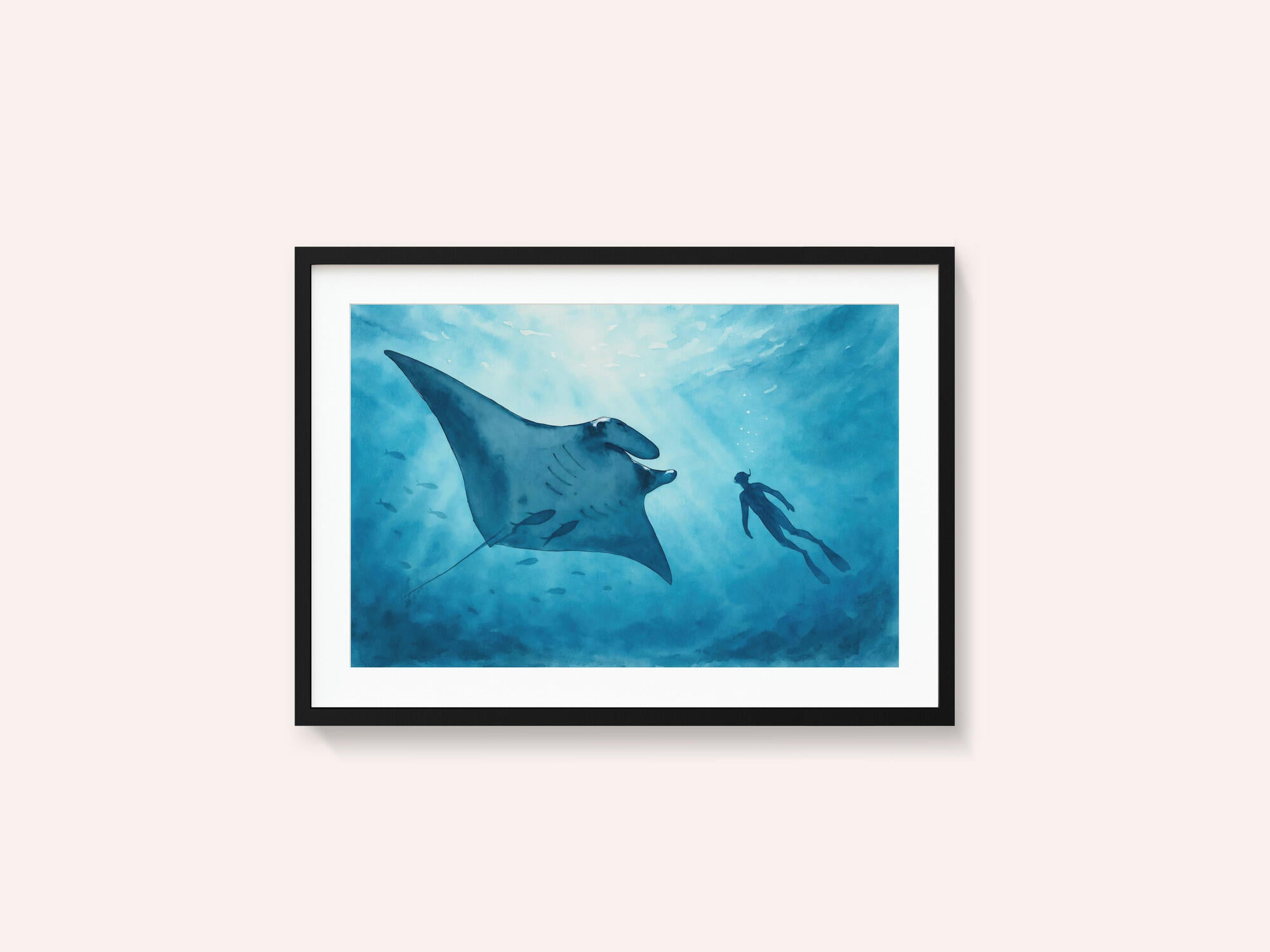 Manta Ray Encounter