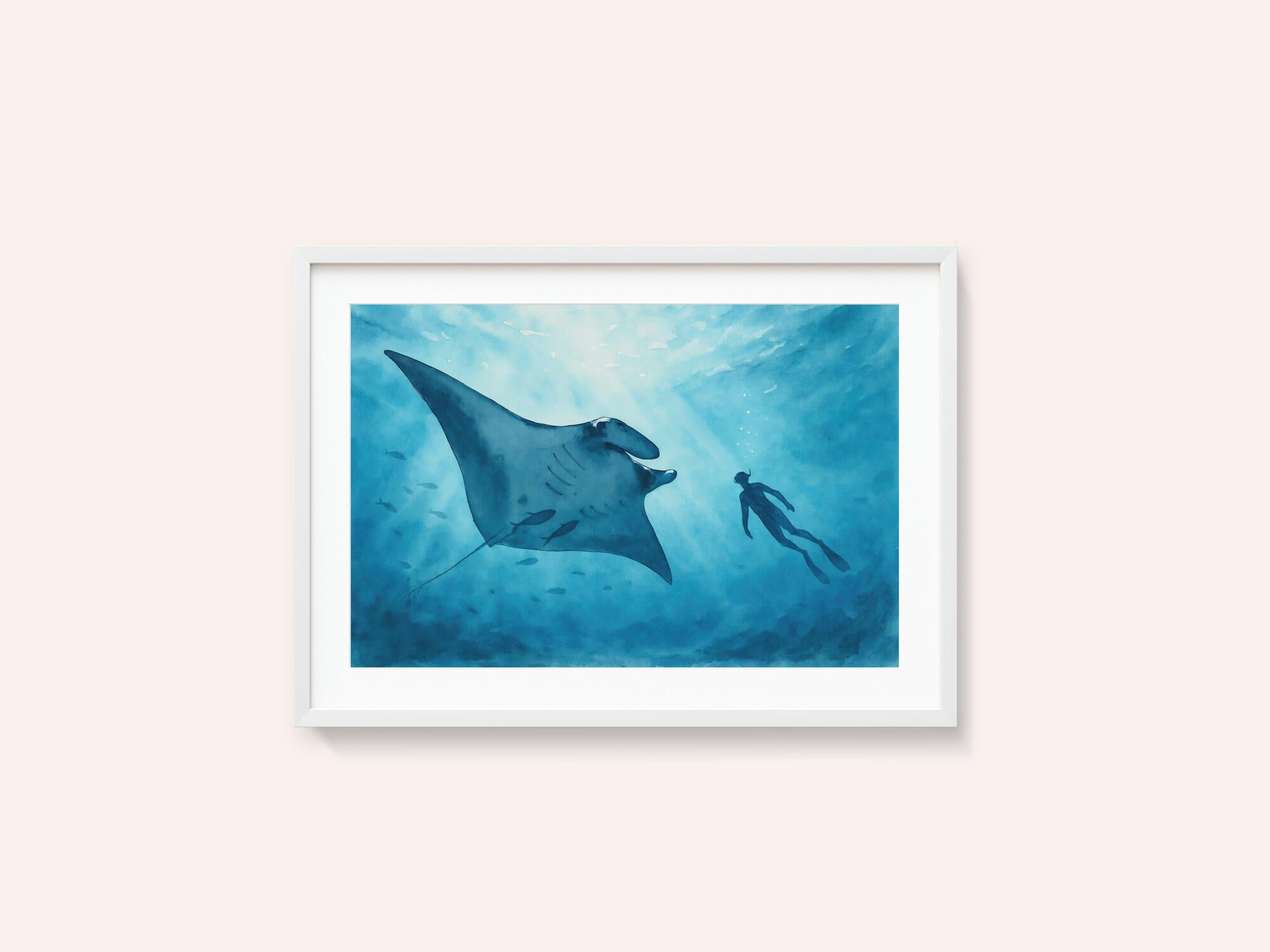 Manta Ray Encounter