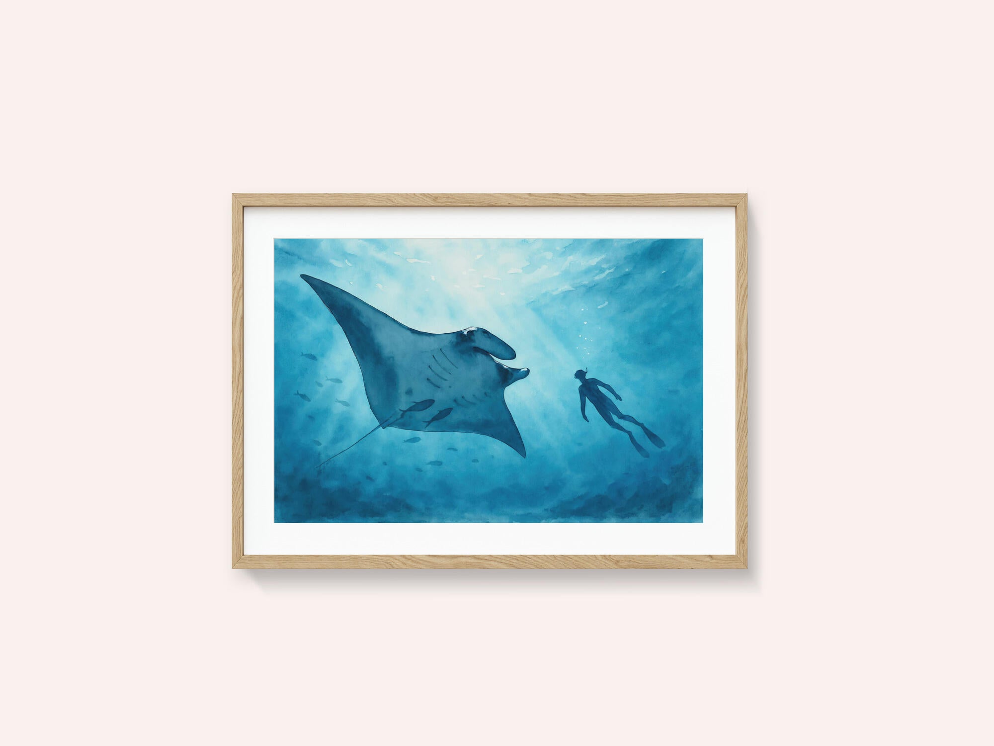 Manta Ray Encounter