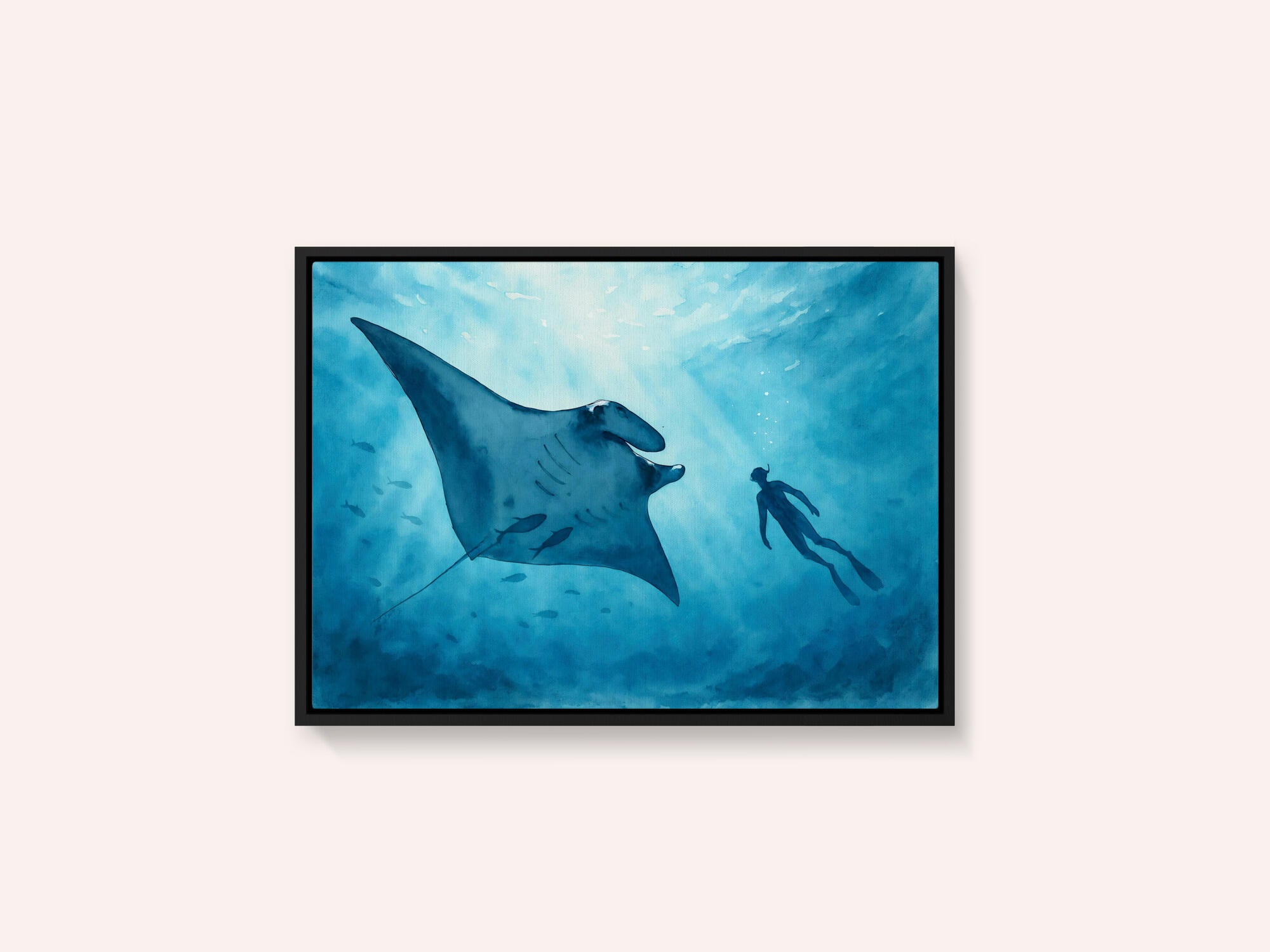Manta Ray Encounter