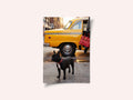 Yellow Cab Dog Walk