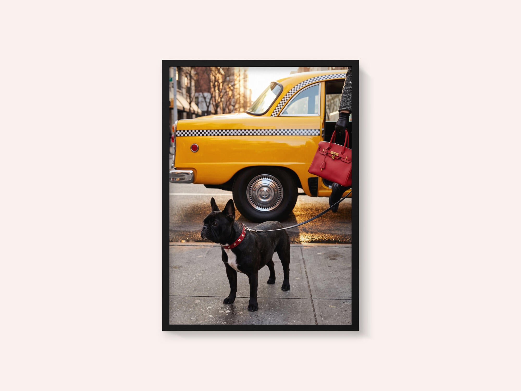 Yellow Cab Dog Walk