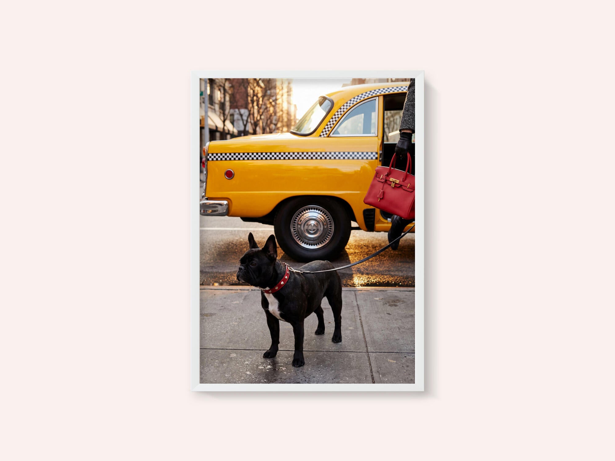 Yellow Cab Dog Walk