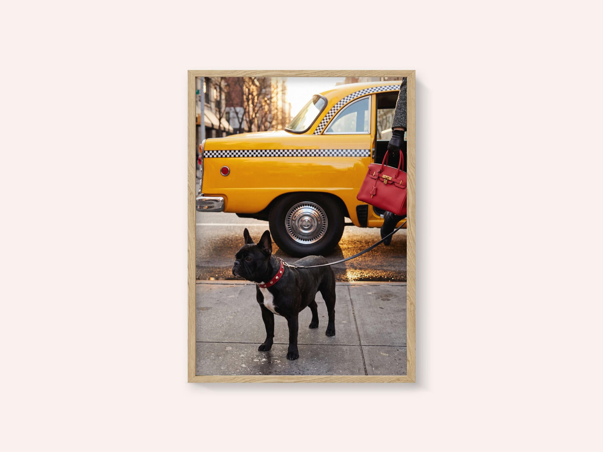 Yellow Cab Dog Walk