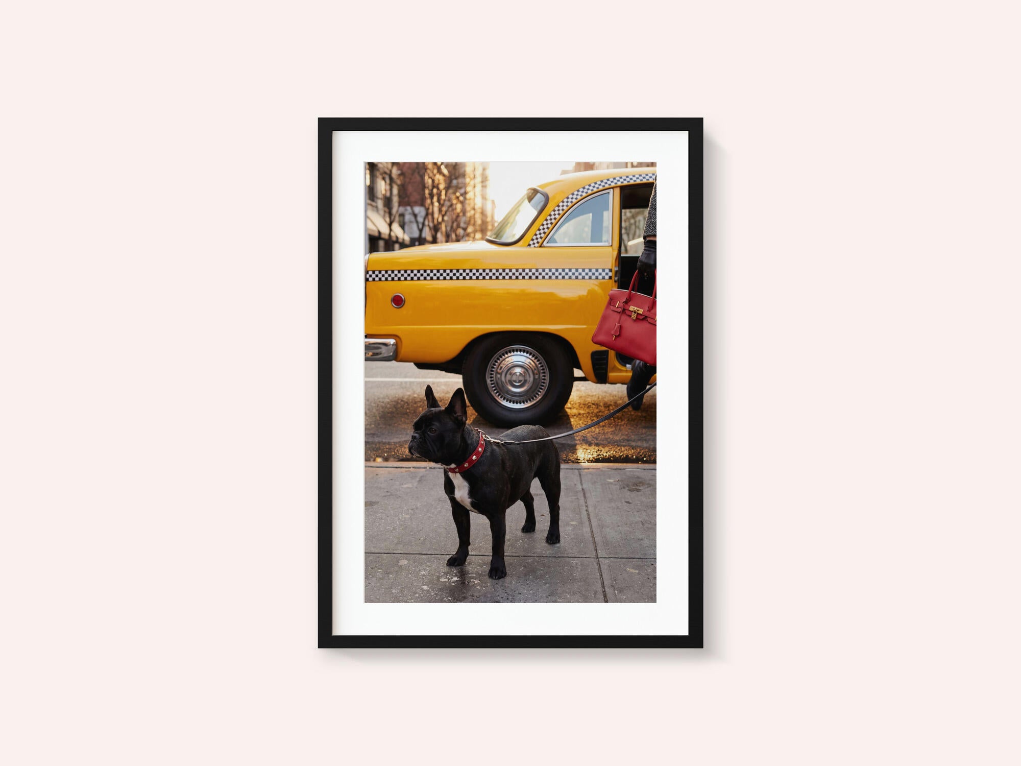 Yellow Cab Dog Walk