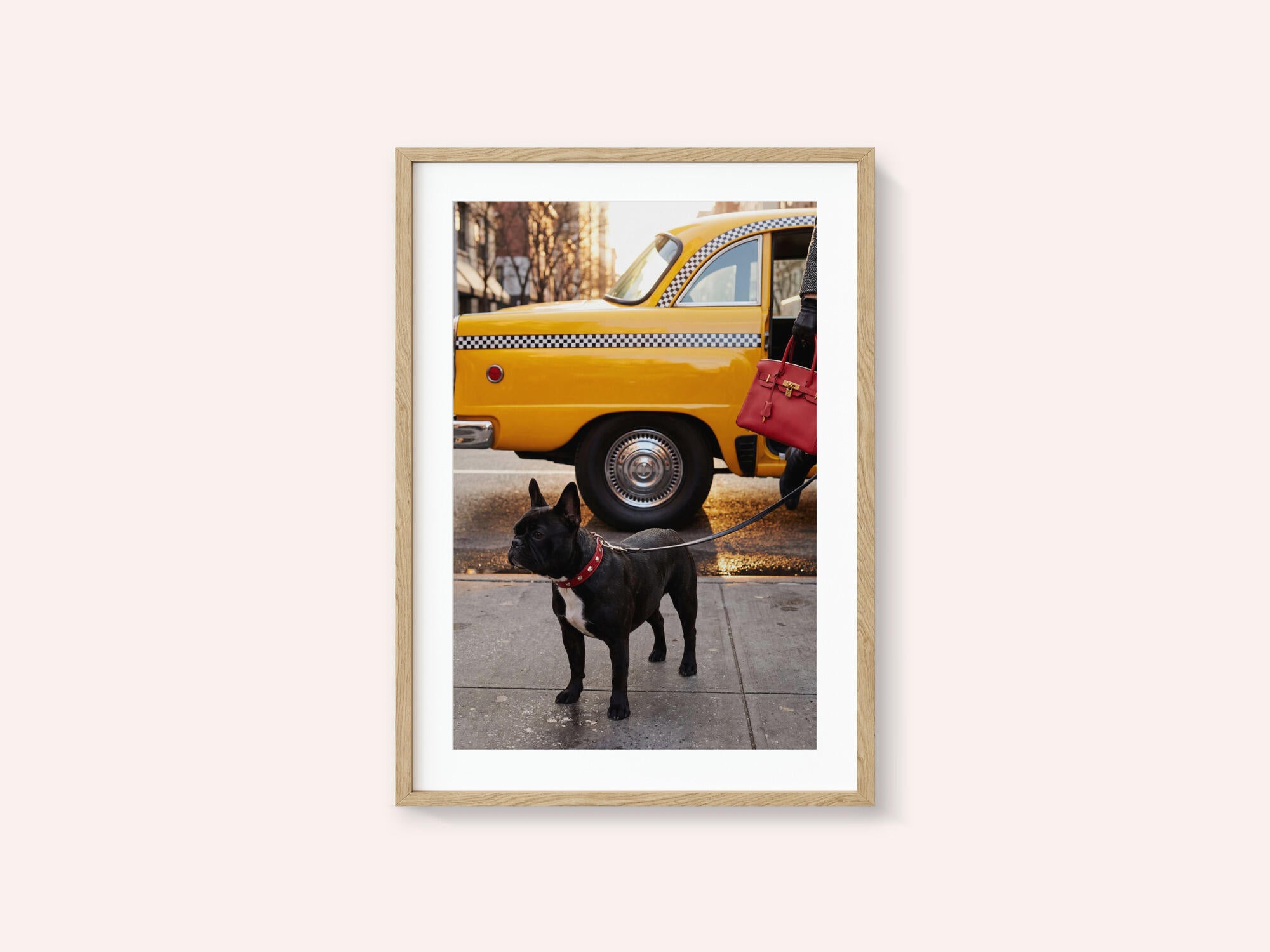 Yellow Cab Dog Walk