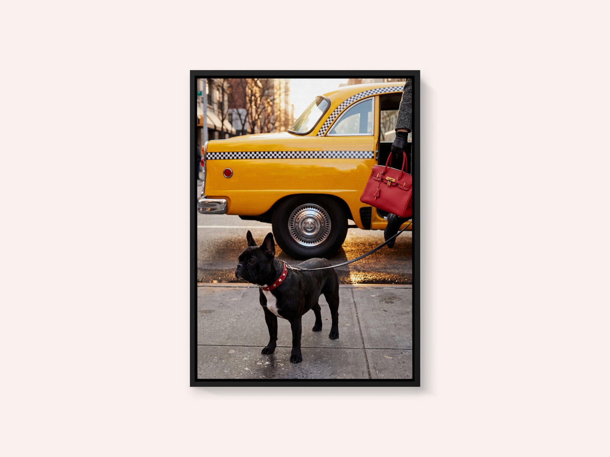 Yellow Cab Dog Walk
