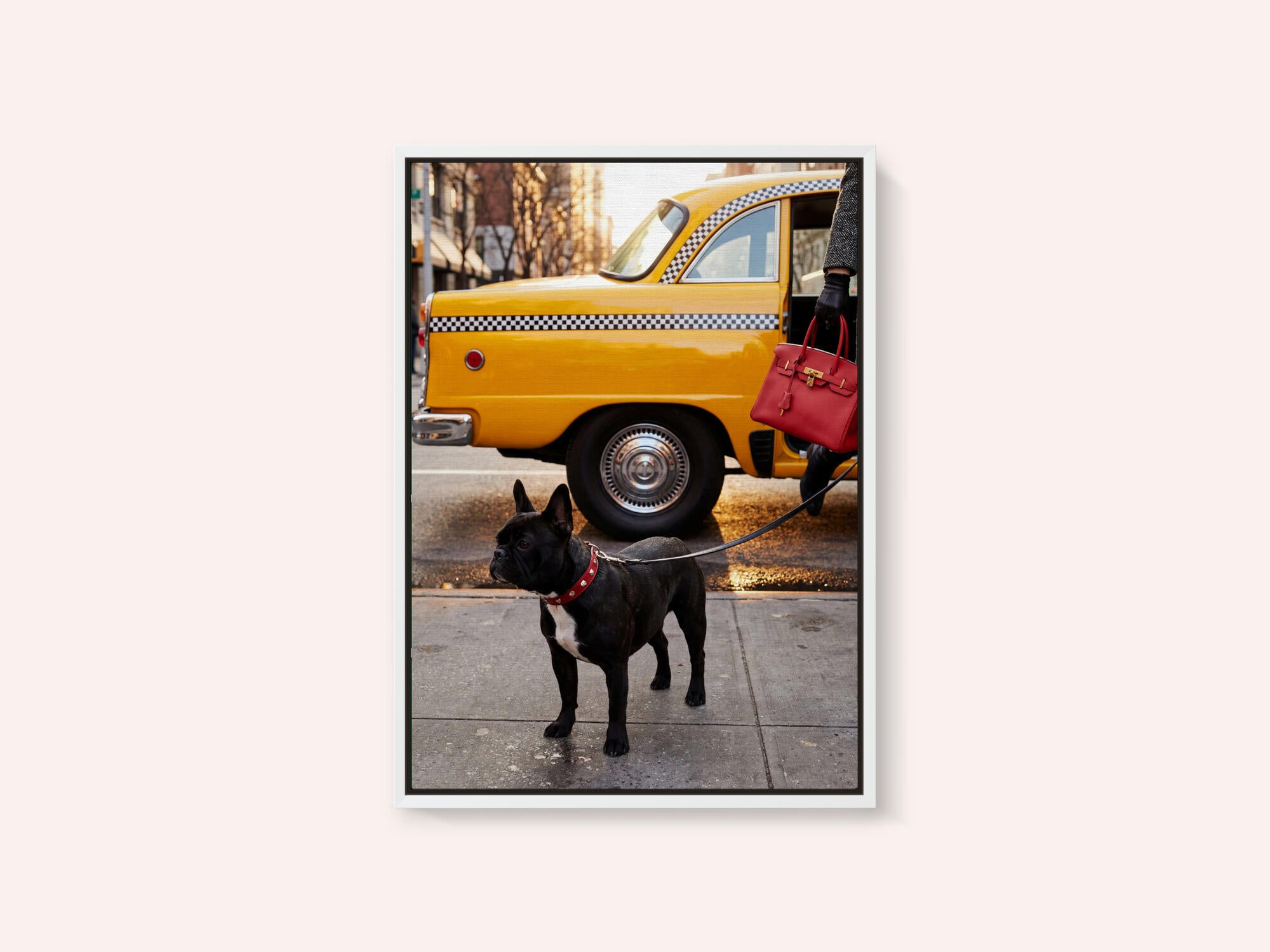 Yellow Cab Dog Walk