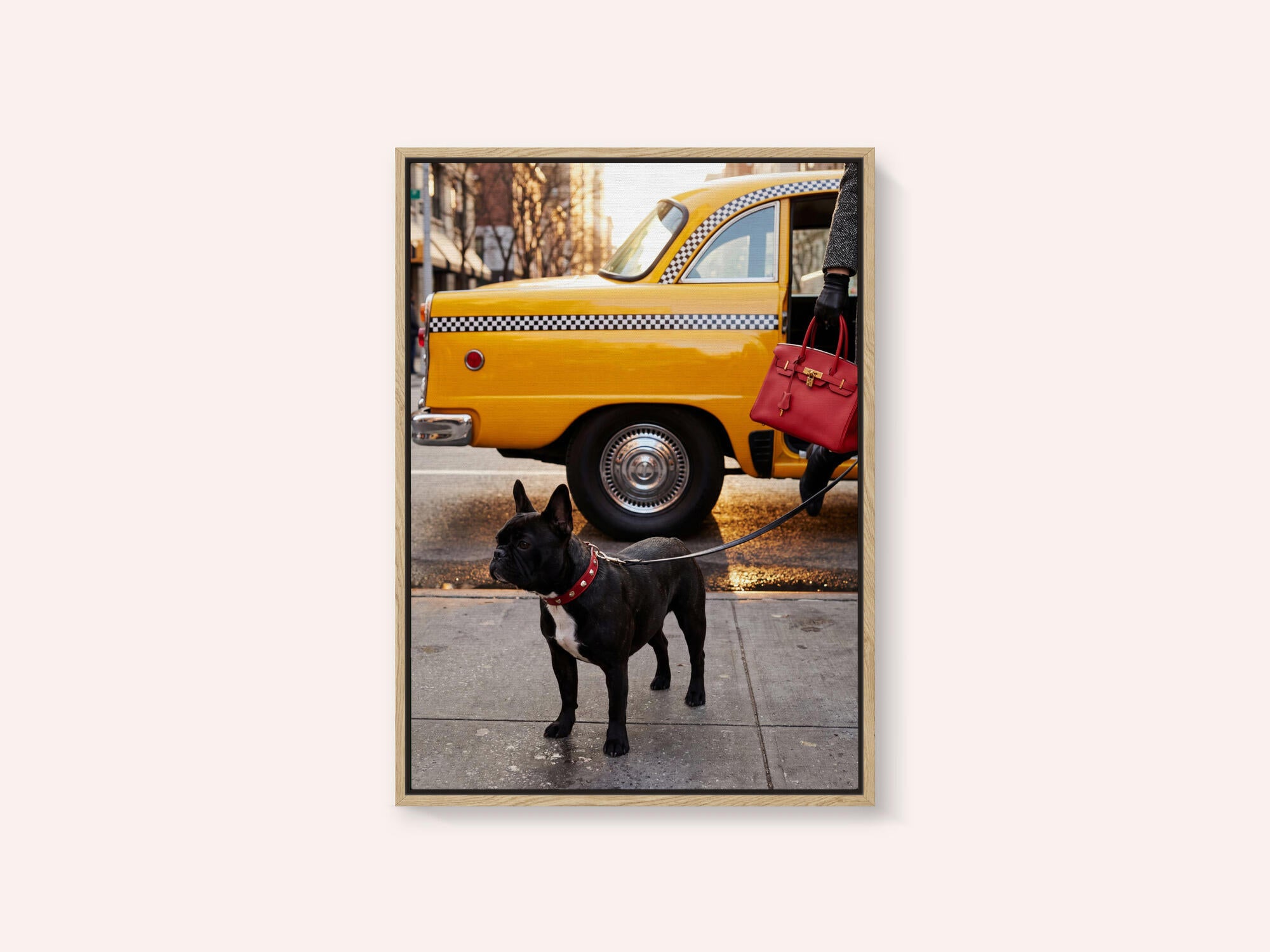 Yellow Cab Dog Walk