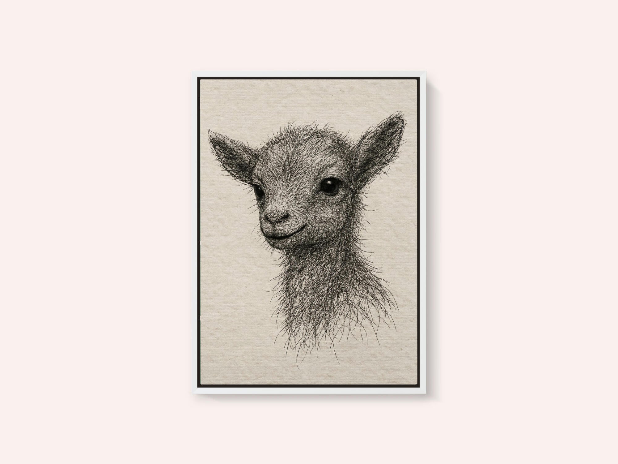 Smiling Baby Goat