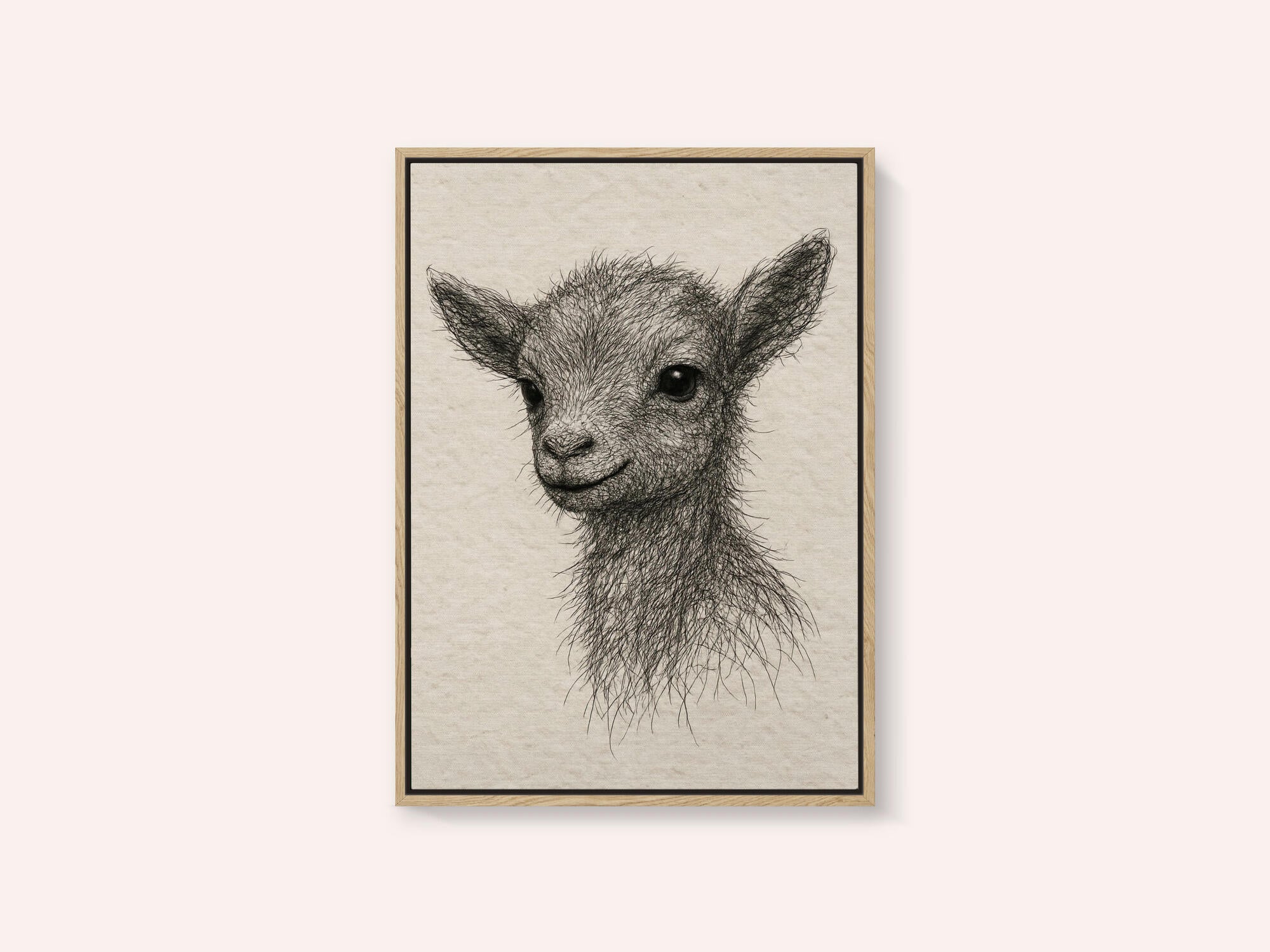Smiling Baby Goat