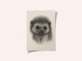 Baby Hedgehog Sketch